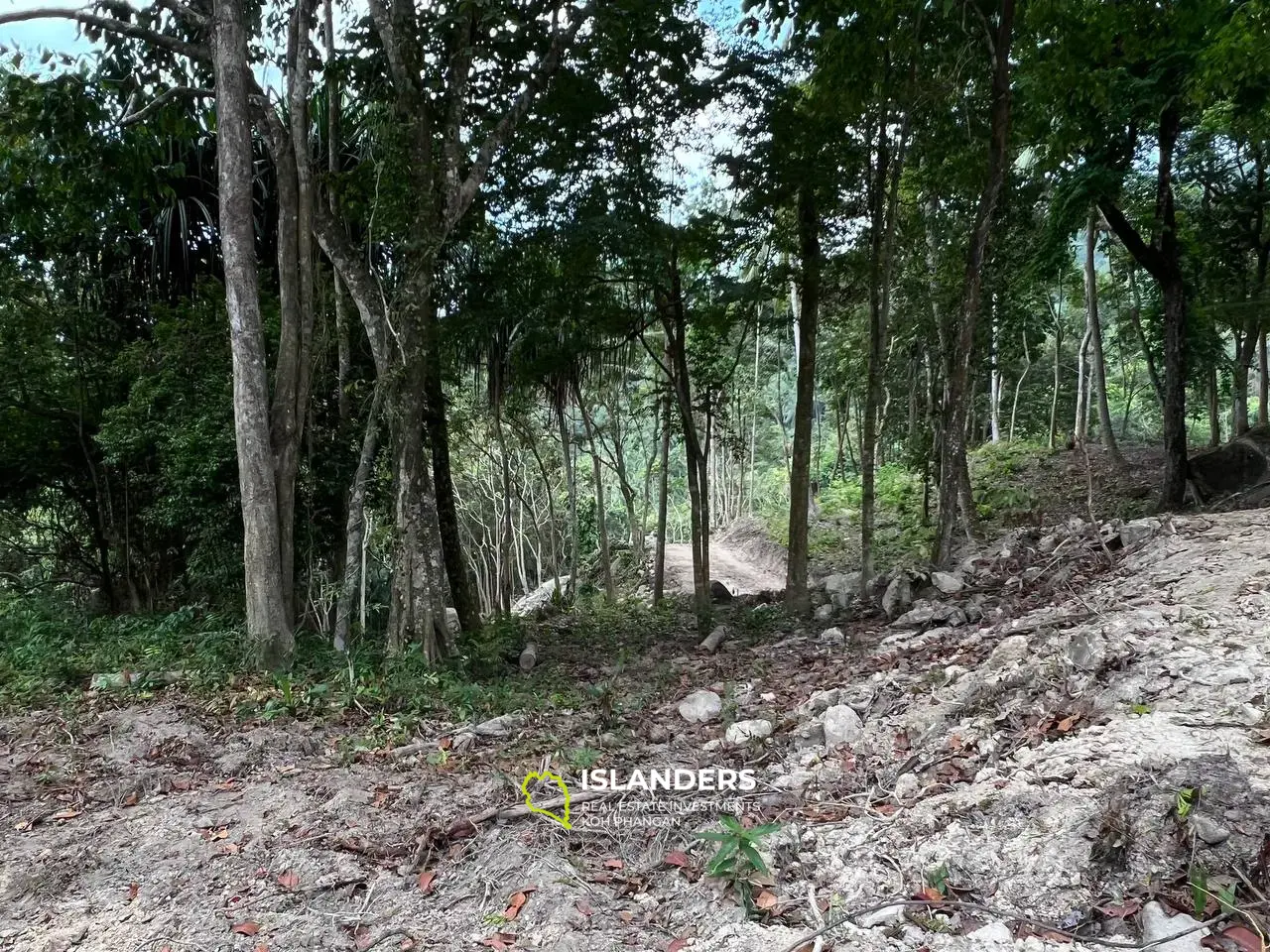 Superbe terrain près de Retro Mountain : 9,33 Rai avec vue sur la mer et prix inférieur au marché !