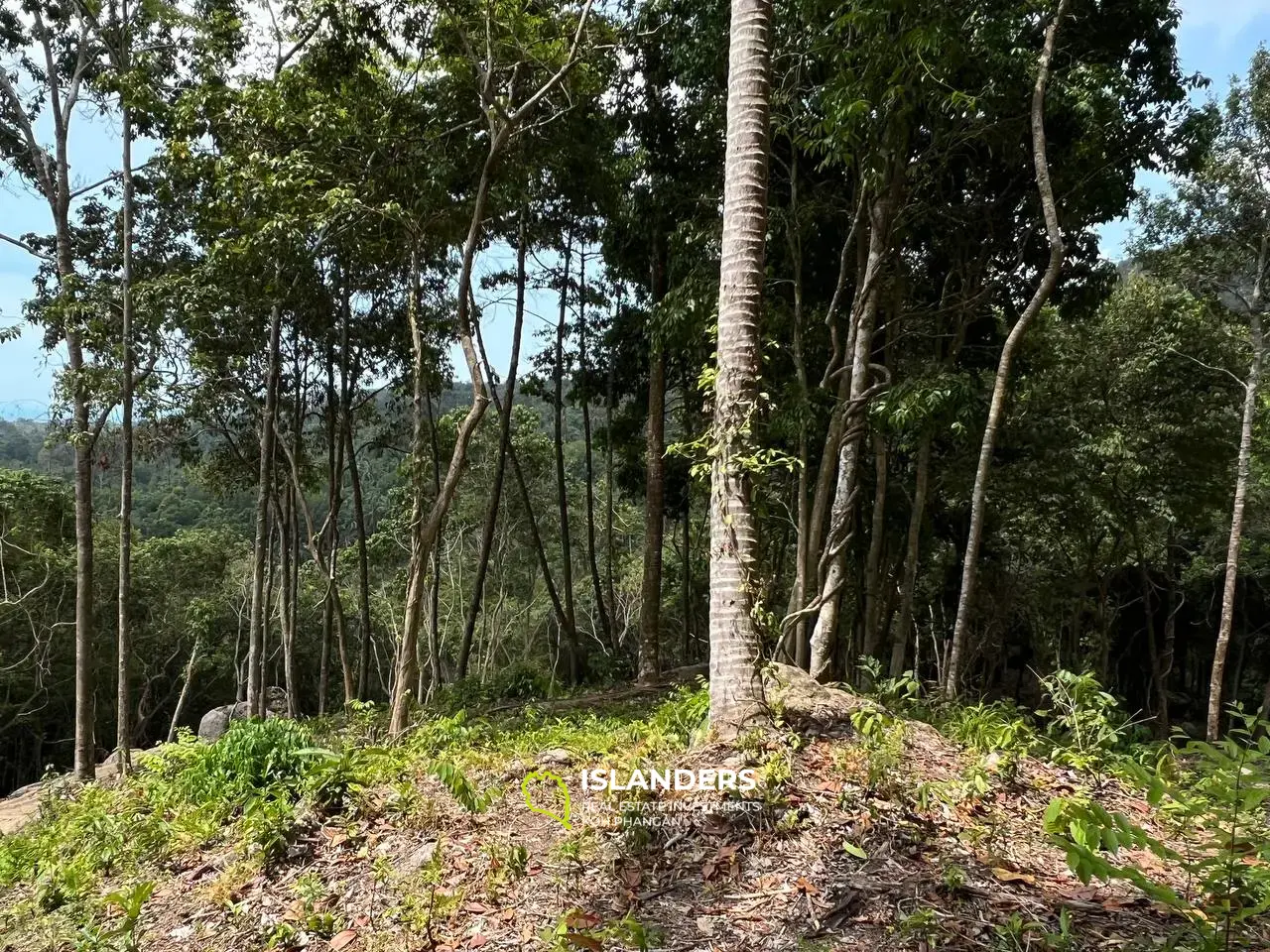 Superbe terrain près de Retro Mountain : 9,33 Rai avec vue sur la mer et prix inférieur au marché !