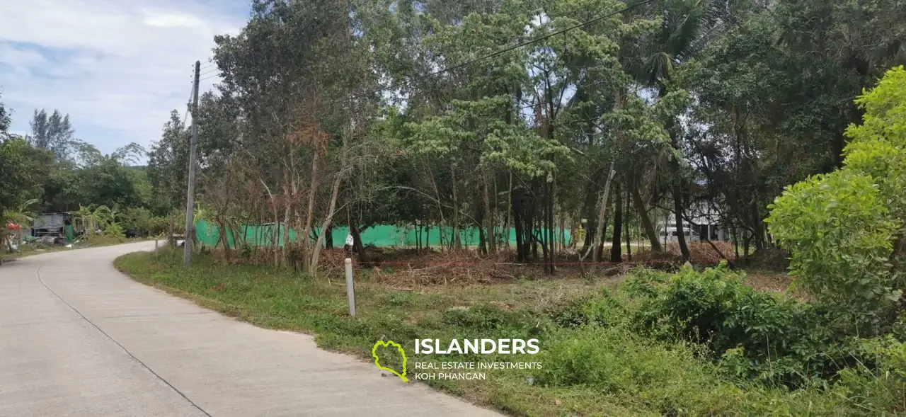 Flat land in Woktum 3.5 million rai