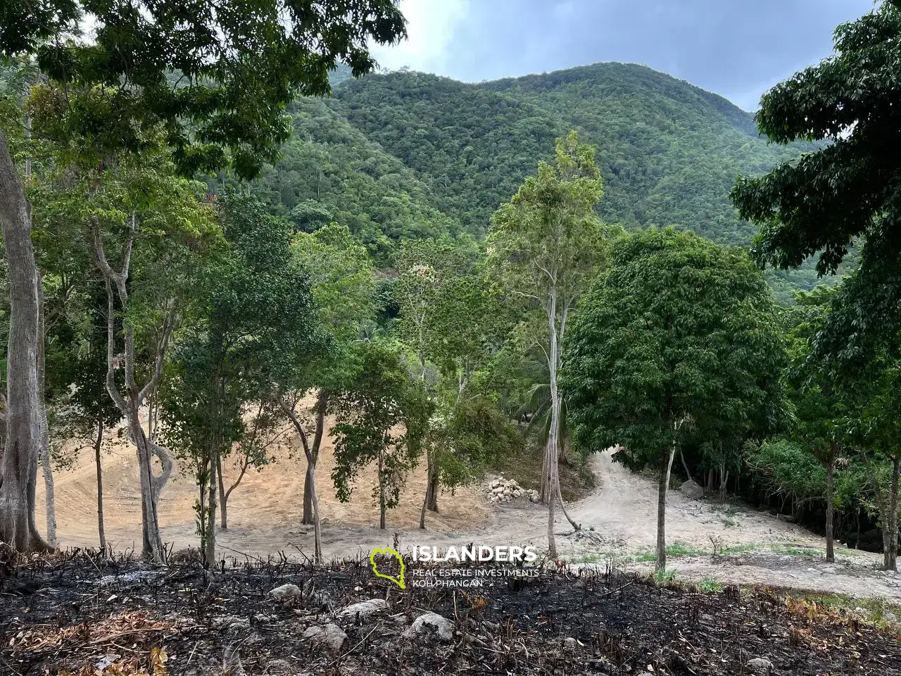 Parcelle de terrain unique à Chaloklum, parcelle 4 : vues panoramiques sur les montagnes et accès privé à la rivière