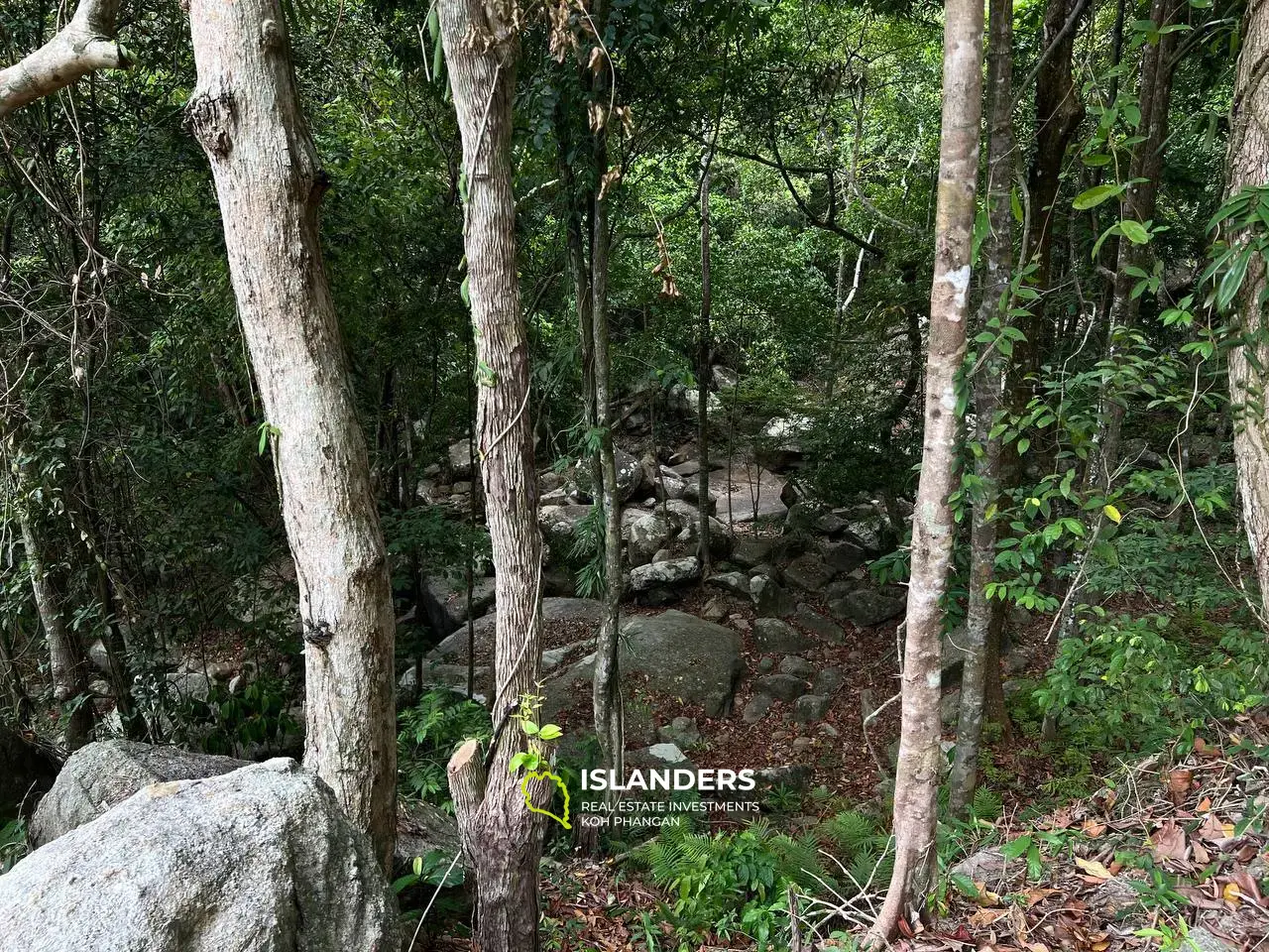 Parcelle de terrain unique à Chaloklum, parcelle 4 : vues panoramiques sur les montagnes et accès privé à la rivière