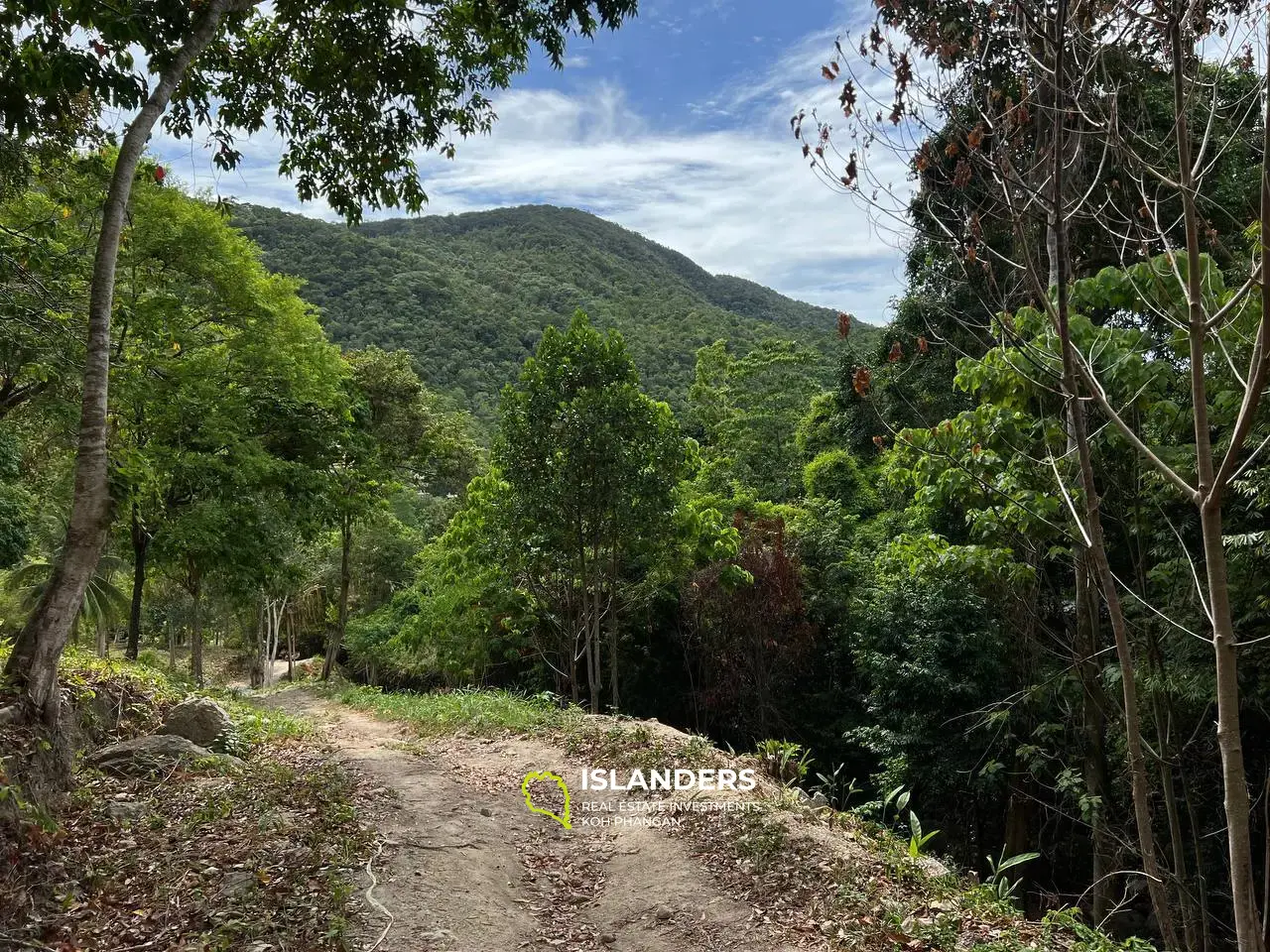 Parcelle de terrain unique à Chaloklum, parcelle 4 : vues panoramiques sur les montagnes et accès privé à la rivière