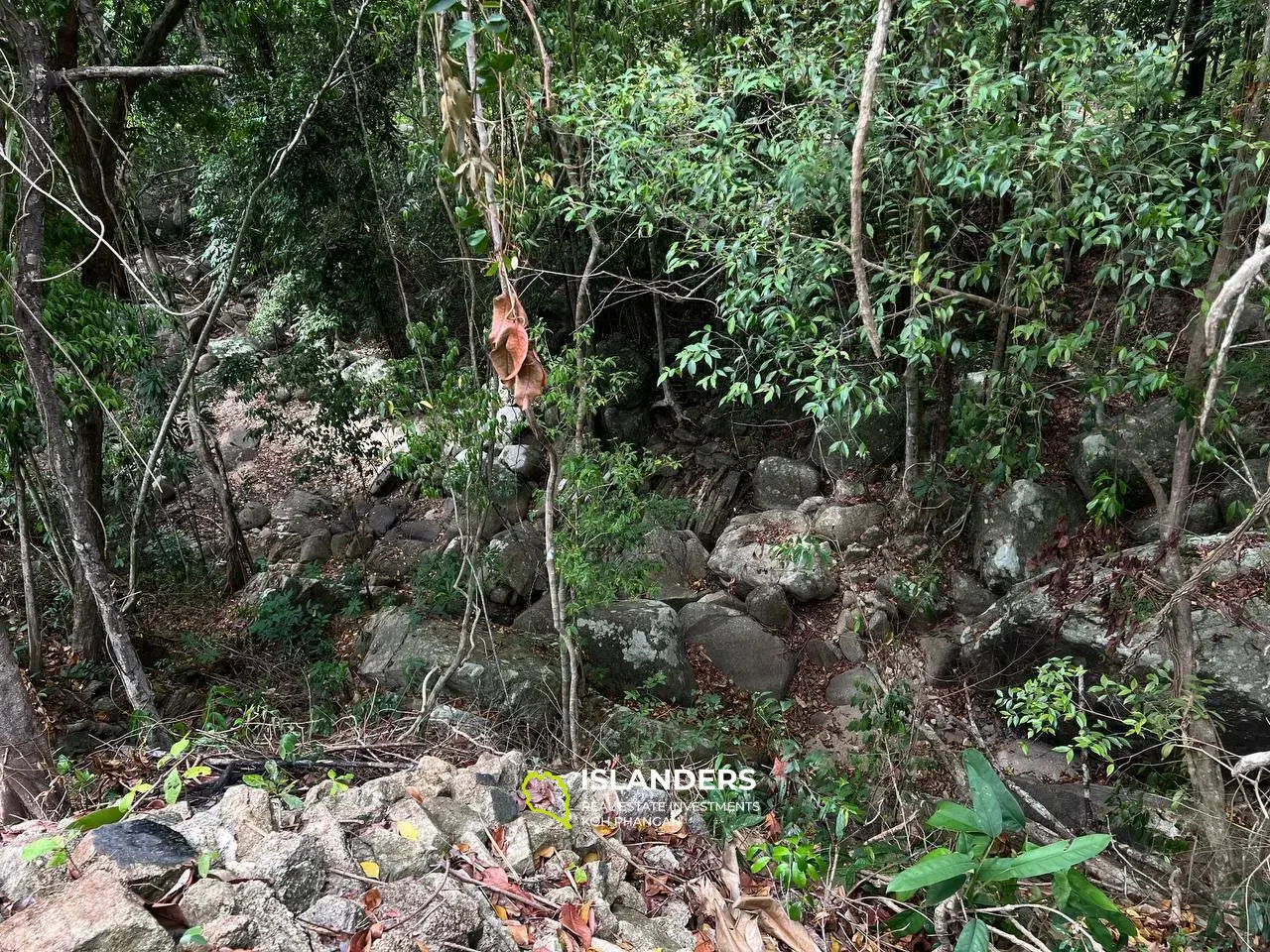 Terrain exclusif à Chaloklum, parcelle 3 : niché entre deux collines avec un large accès à la rivière de montagne