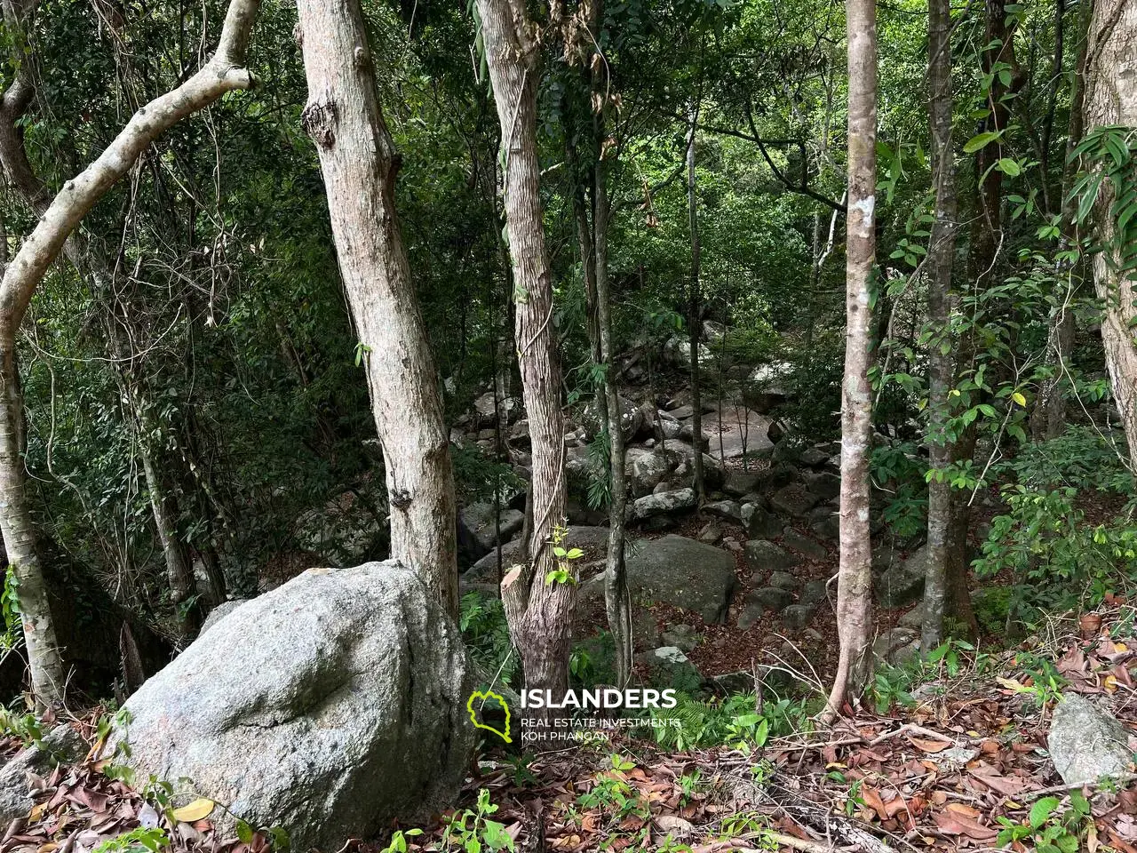 Terrain pittoresque à Chaloklum, parcelle 2 : vue sur les montagnes et accès privé à la rivière de montagne