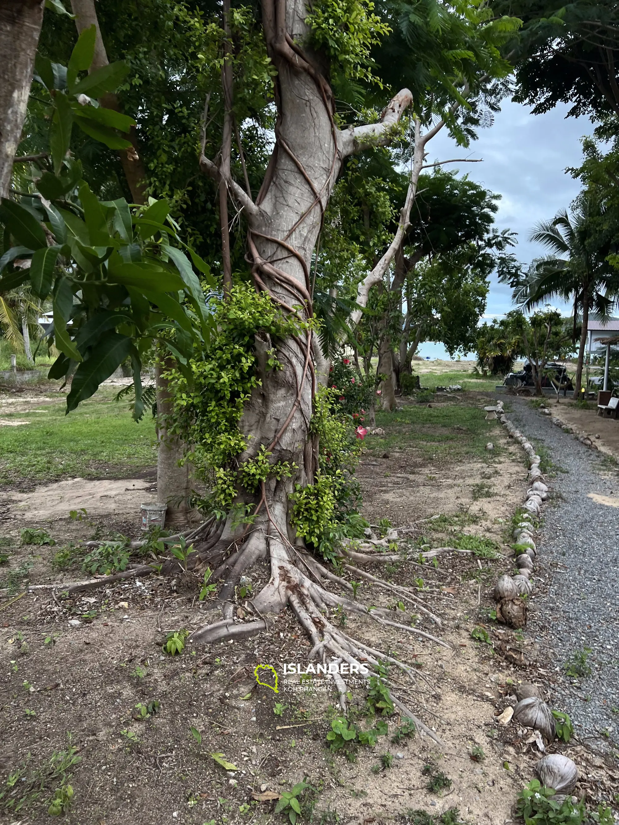 Resort à vendre dans un emplacement privilégié à Srithanu près de la plage