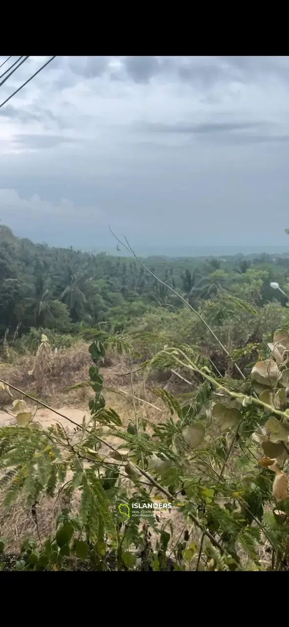 Parcelle de terrain sur Secret Mountain : Island Panorama à 4,5 millions de bahts par Rai