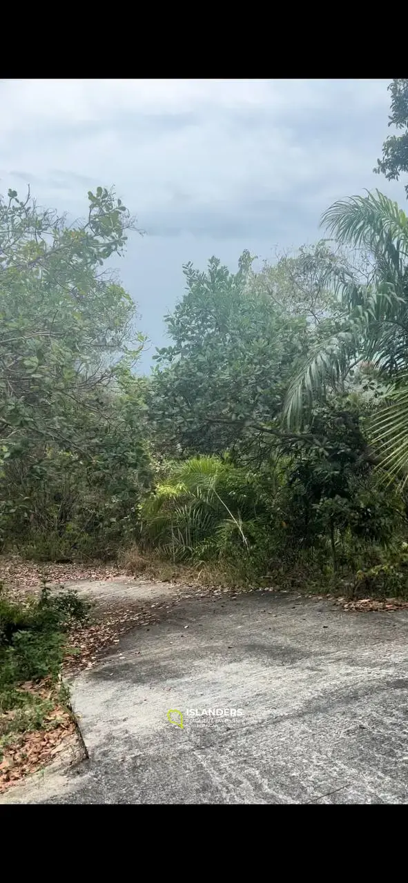 Parcelle de terrain sur Secret Mountain : Island Panorama à 4,5 millions de bahts par Rai