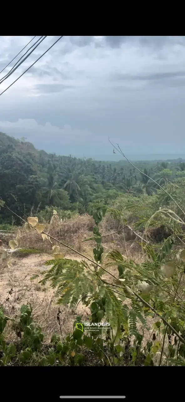 Parcelle de terrain sur Secret Mountain : Island Panorama à 4,5 millions de bahts par Rai