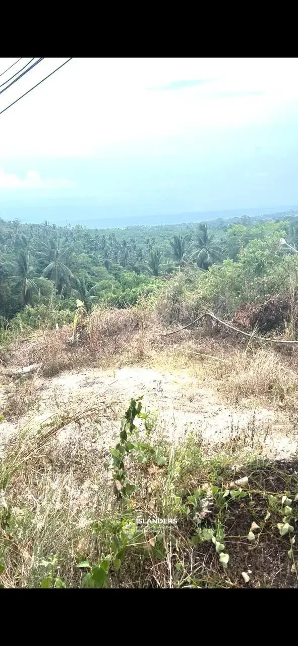 Land Parcel on Secret Mountain: Island Panorama at 4.5 million baht per Rai