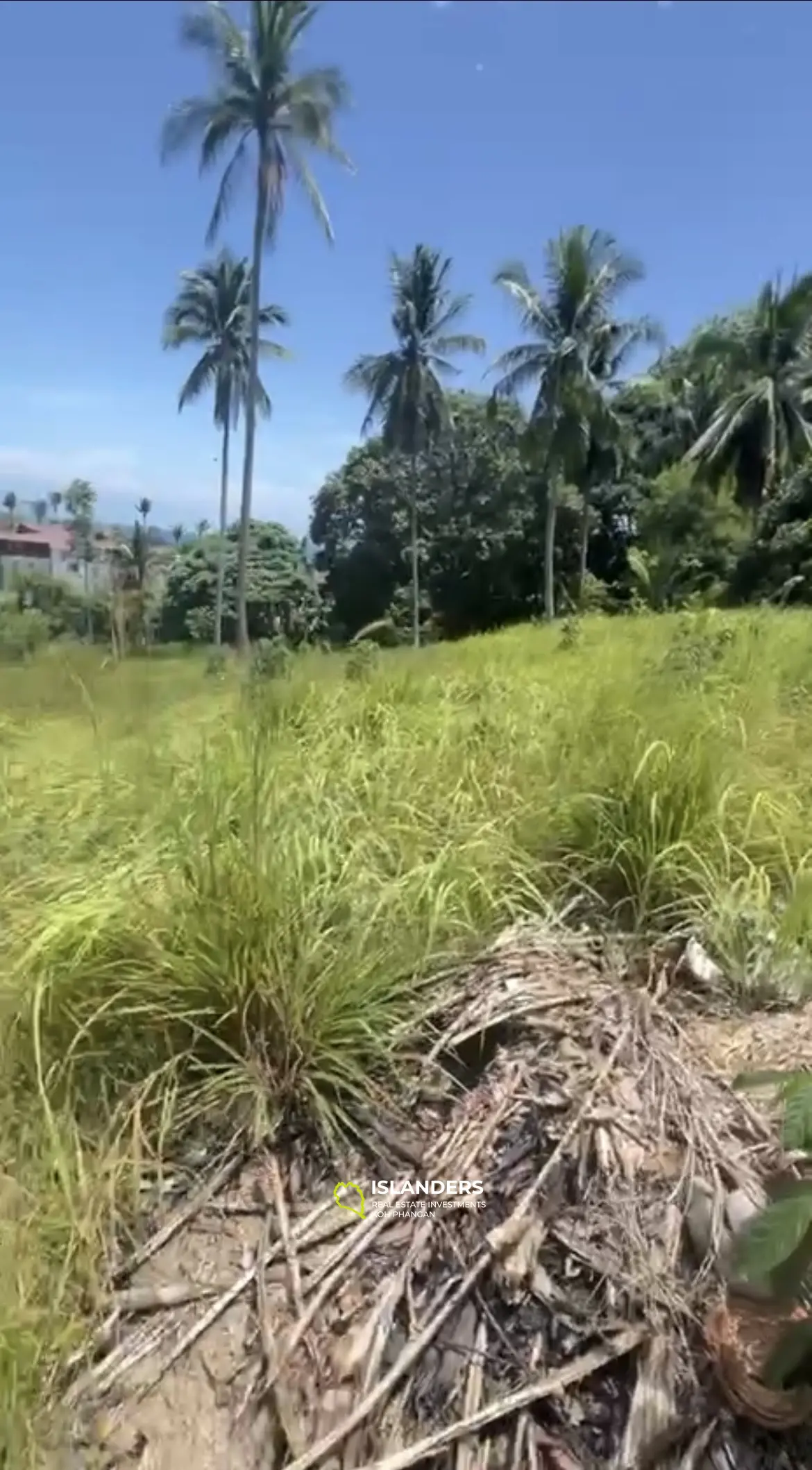 Malerisches Grundstück in Mae Haad: Meerblick und Nähe zum Strand von Koh Ma.