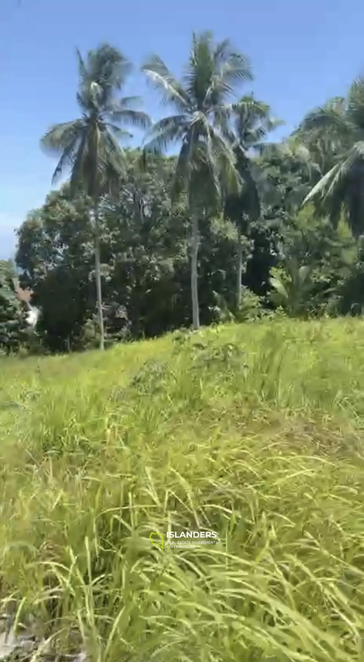 Terrain panoramique à Mae Haad : Vue mer et proximité de la plage de Koh Ma.