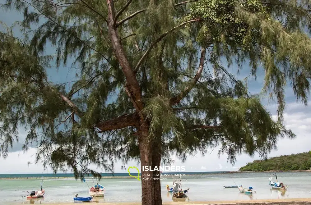 Incroyable villa de 5 chambres en bord de mer à Chaweng