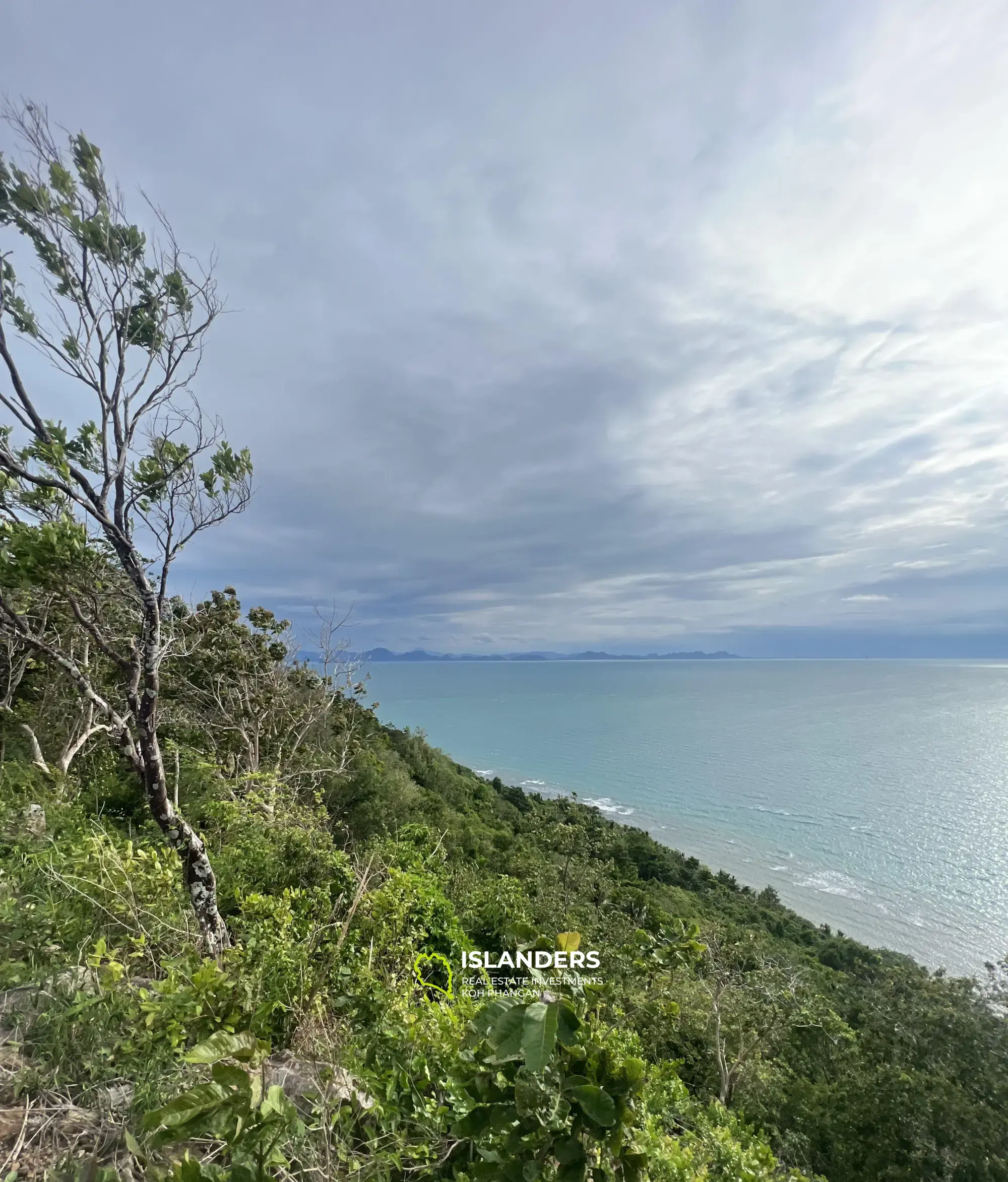 Terrain vierge et naturel de 22 Rai à vendre à Taling Ngam