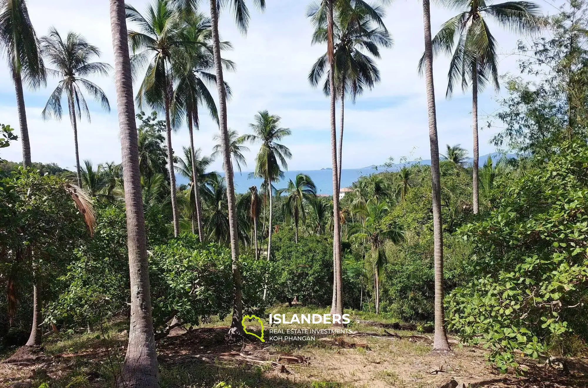 Terrain de 5 892 m² avec vue sur la mer à Bang Por à vendre