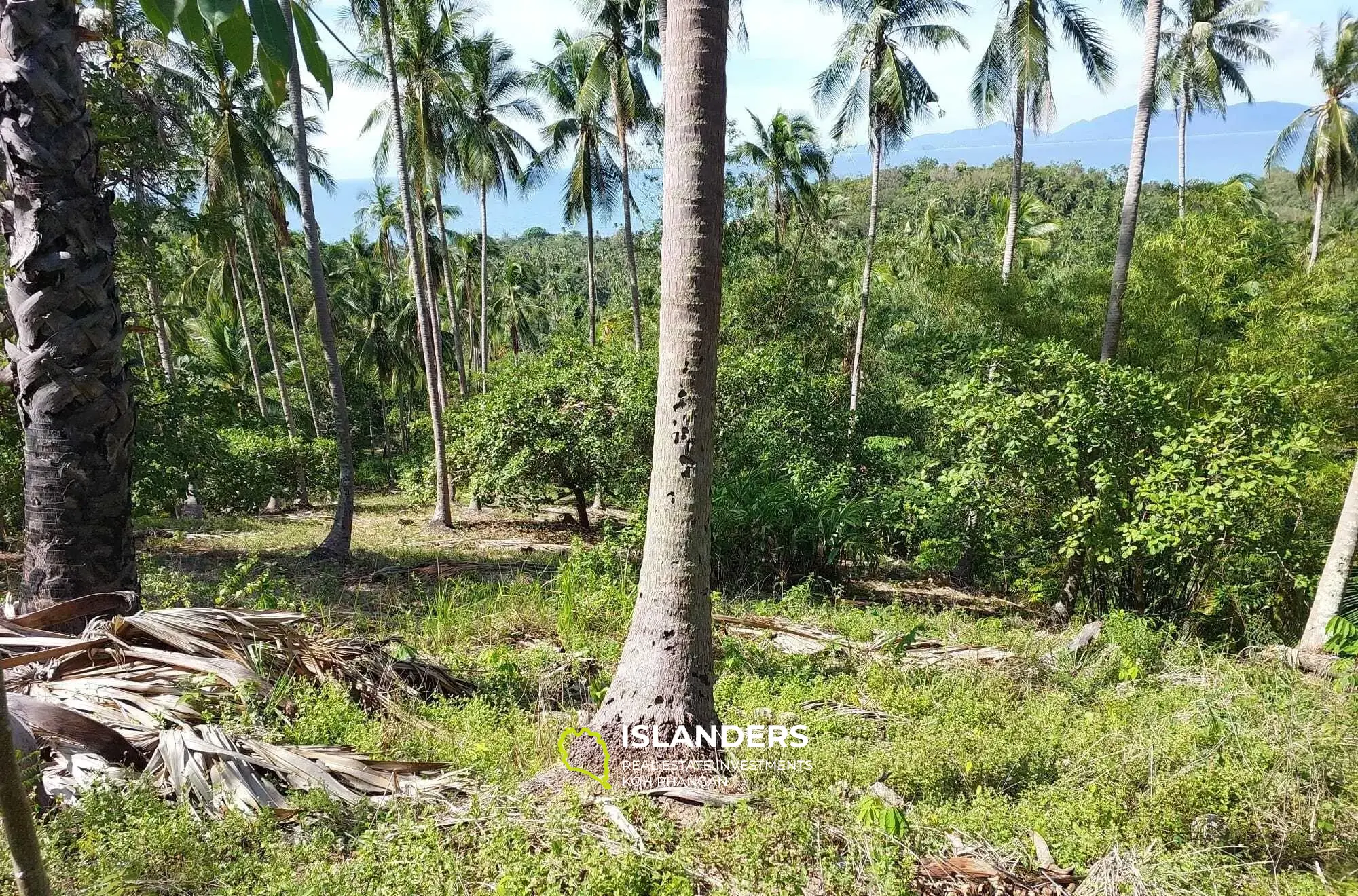 5,892 SQM with Sea View Land in Bang Por for Sale