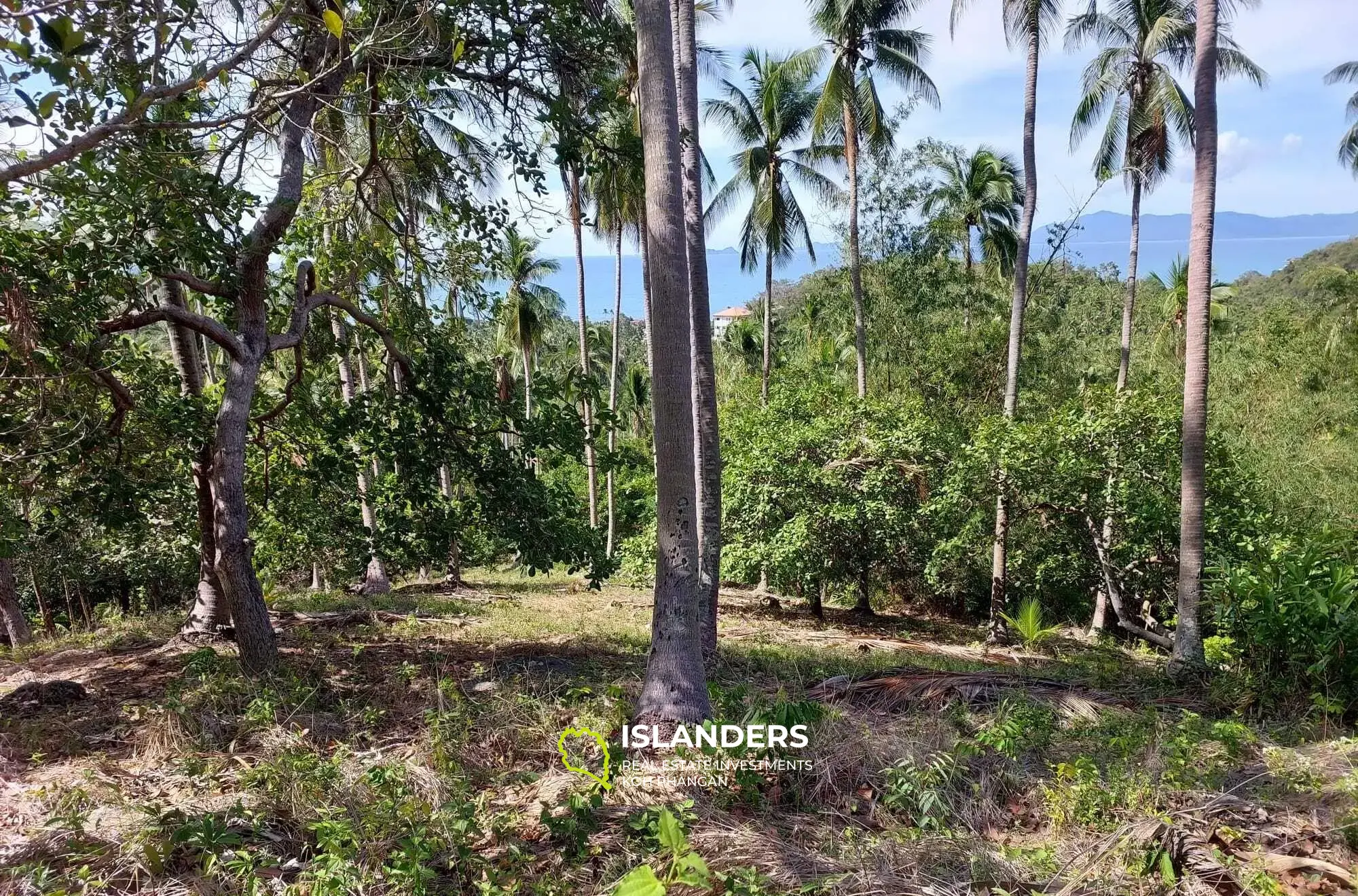 Terrain de 5 892 m² avec vue sur la mer à Bang Por à vendre