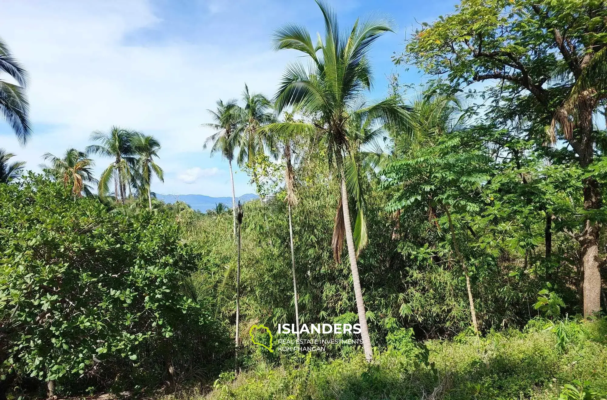 Terrain de 5 892 m² avec vue sur la mer à Bang Por à vendre