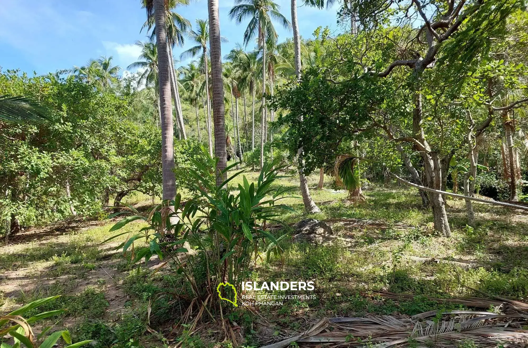 5,892 SQM with Sea View Land in Bang Por for Sale