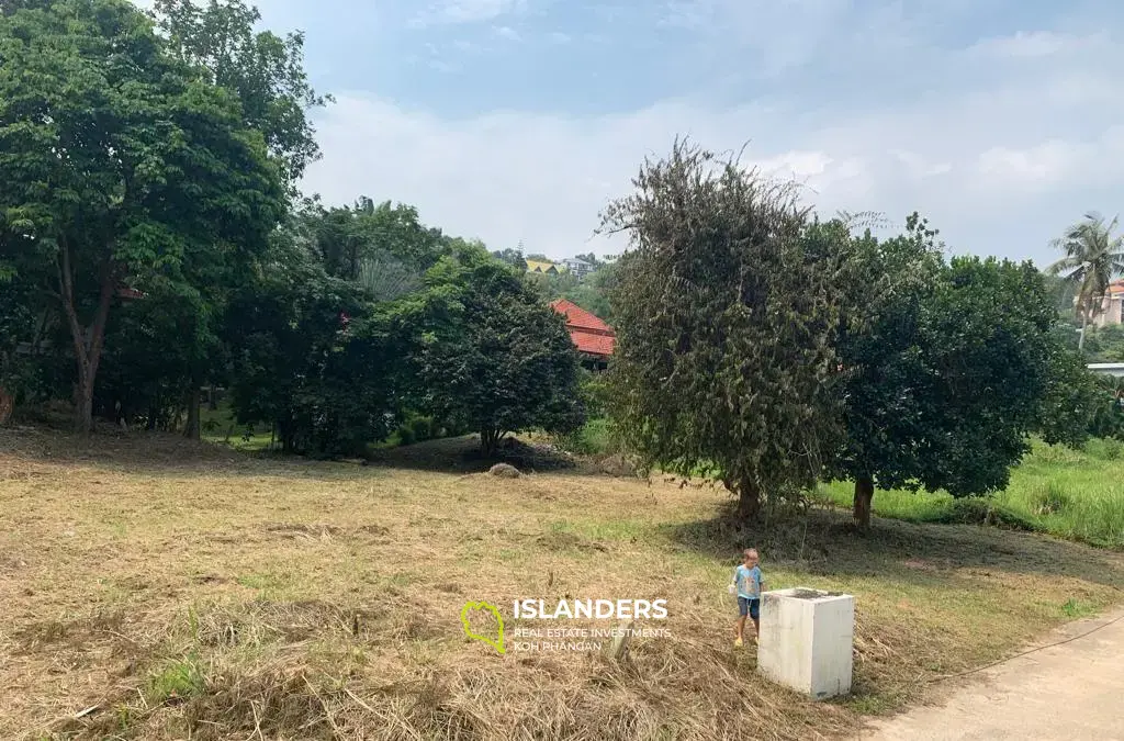  Land for sale at Santi Thani 