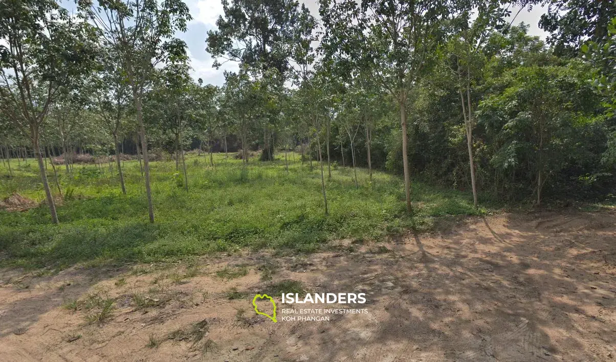 Flat Land at Quiet Area for Sale in Taling Ngam