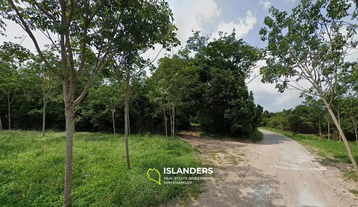 Flat Land at Quiet Area for Sale in Taling Ngam