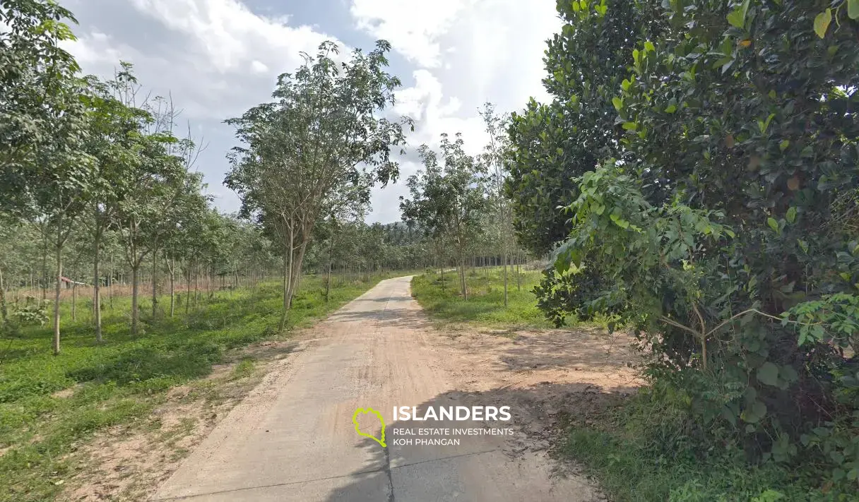 Flaches Grundstück in ruhiger Lage zum Verkauf in Taling Ngam