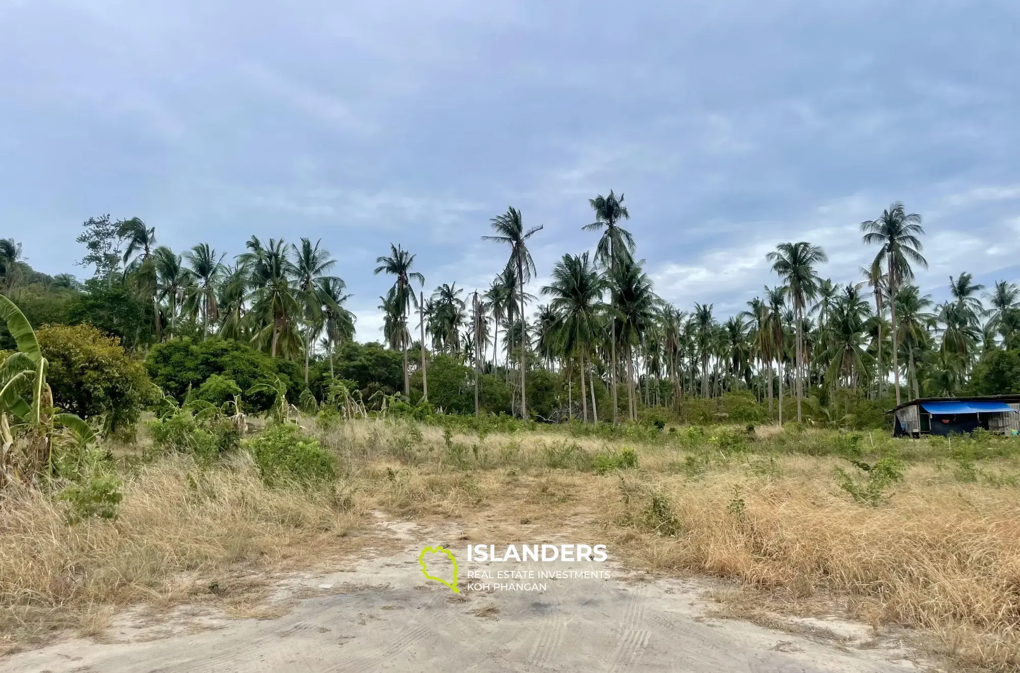 400 SQM. Mountain View Flat Land in Mae Nam for Sale 