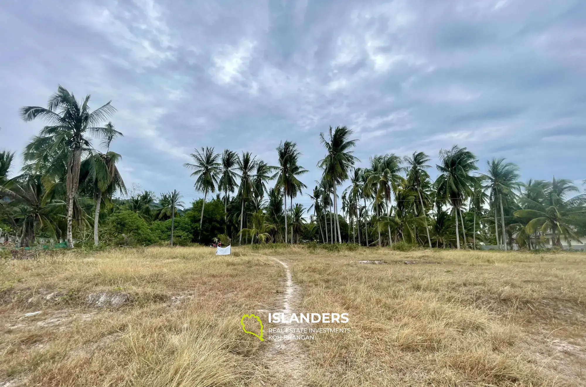 702 Sqm Garden View Flat Land in Mae Nam