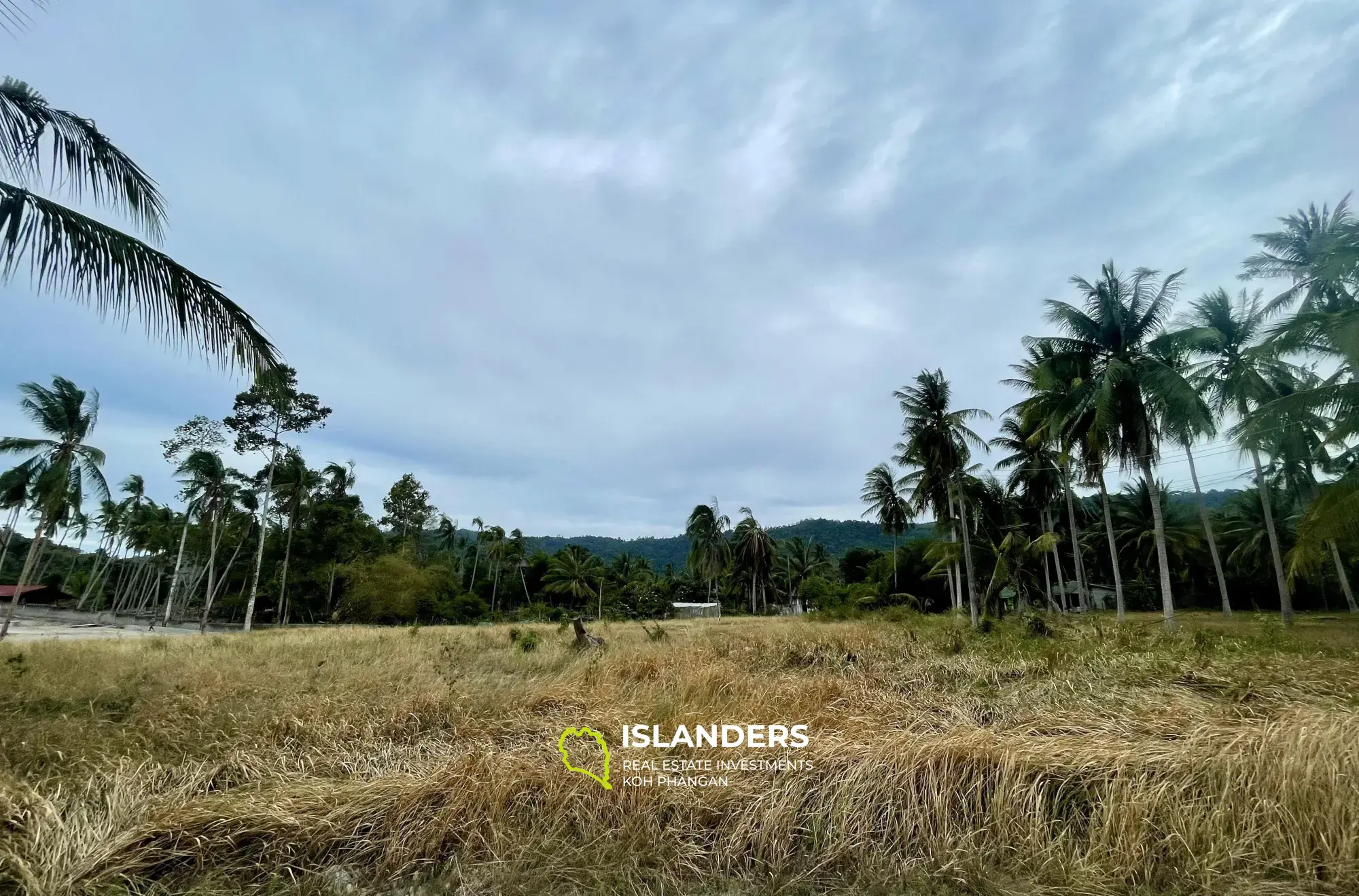 702 m² flaches Grundstück mit Gartenblick in Mae Nam