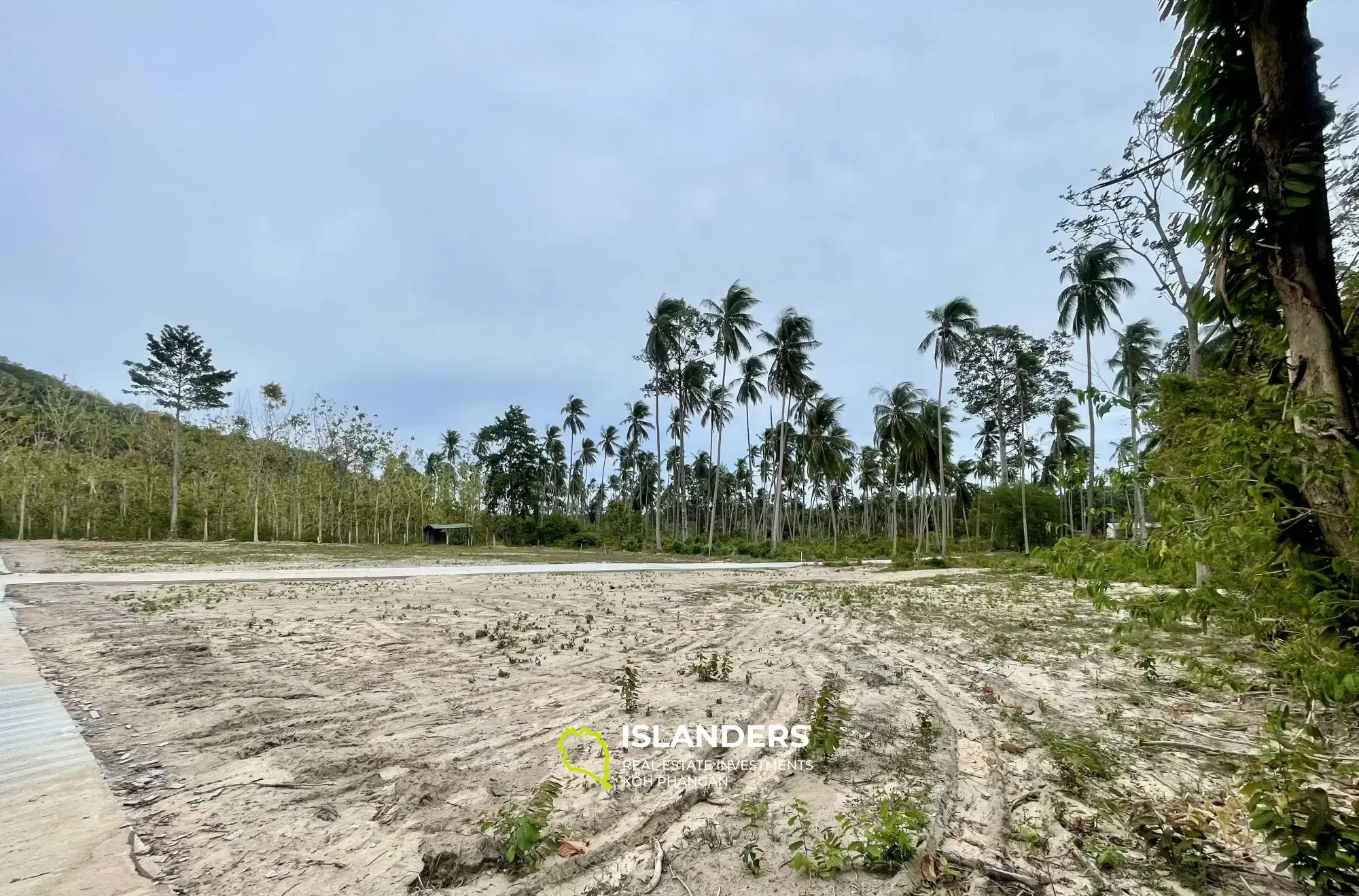 Terrain plat de 1 010 m² avec vue tropicale à Mae Nam