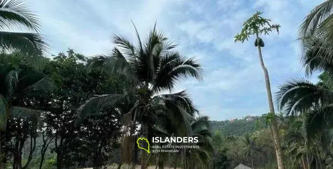 3.75 Rai Mountain View Land For Sale in Koh Samui