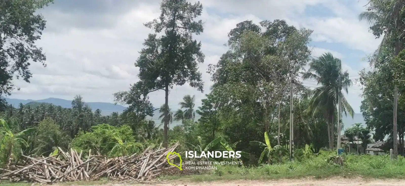 Land im Herzen von Hinkong, Koh Pha Ngan