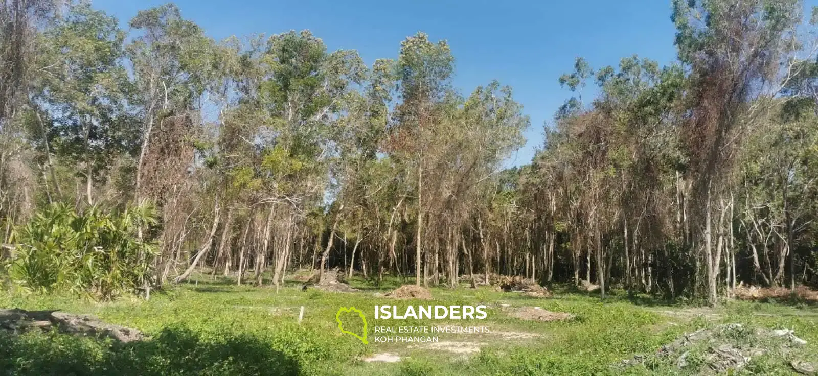 Parcelles avec vue sur la montagne à Baan Nai Suan : plusieurs tailles disponibles