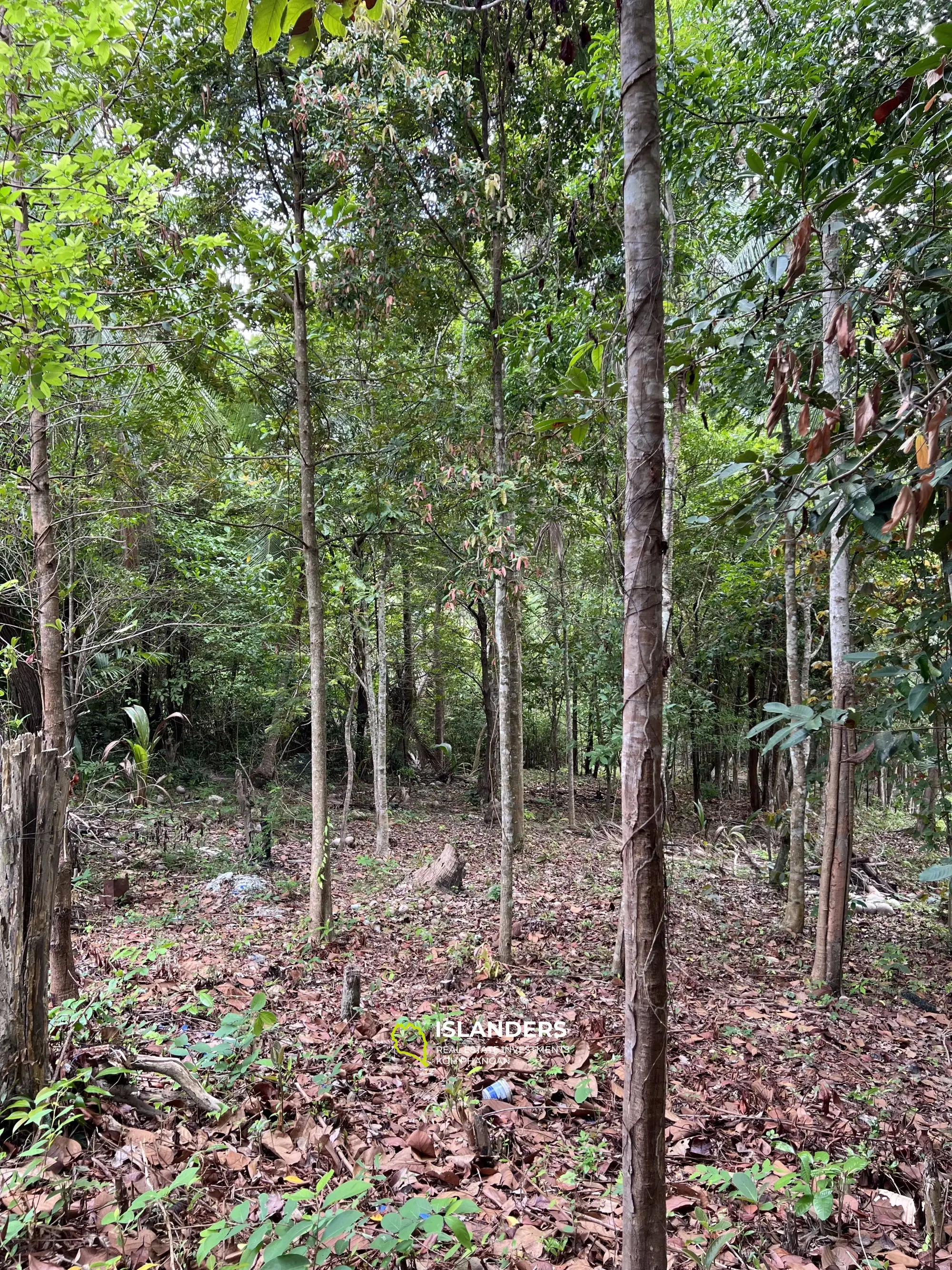 Flat land near the River