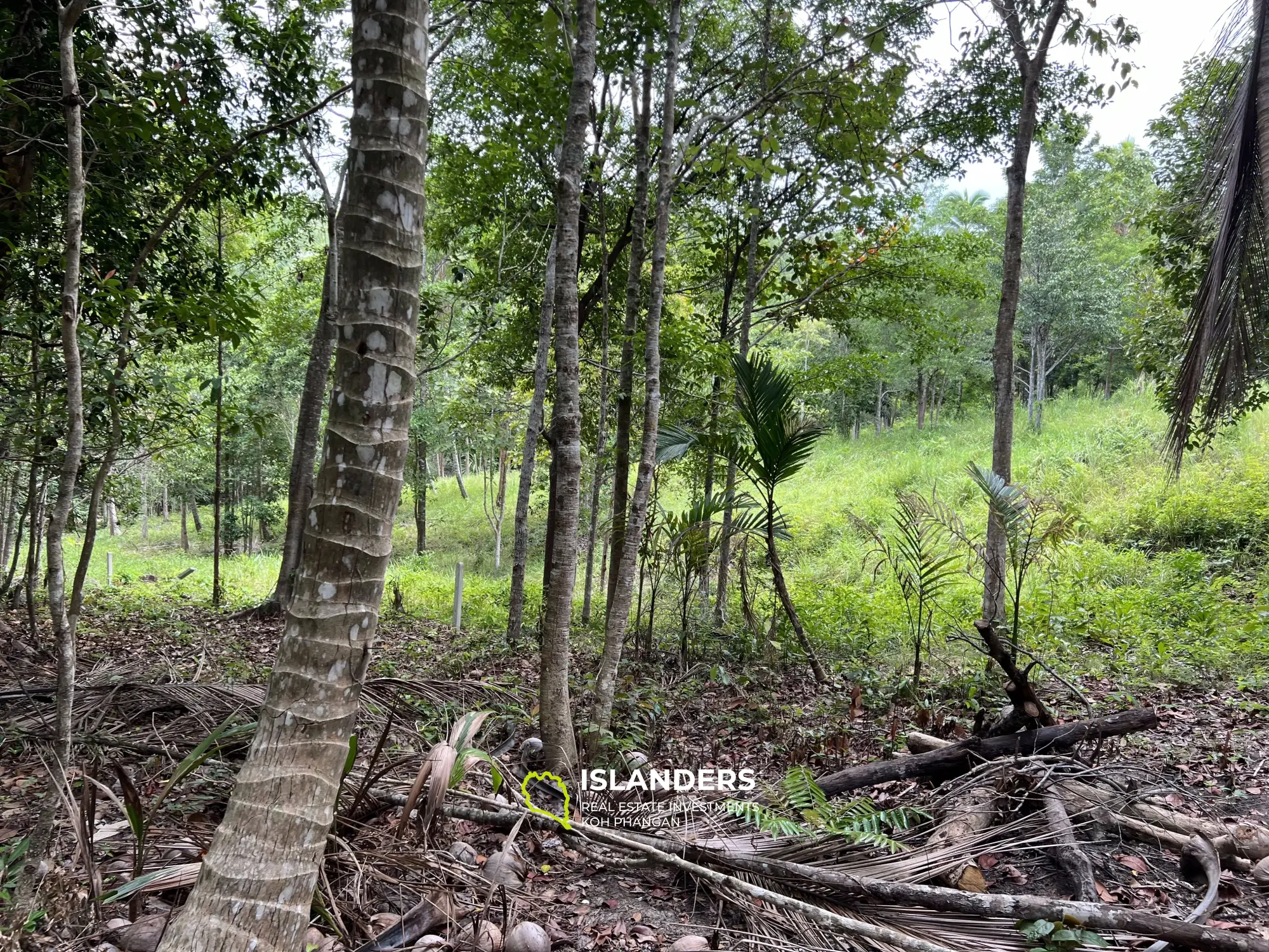 Flat land near the River