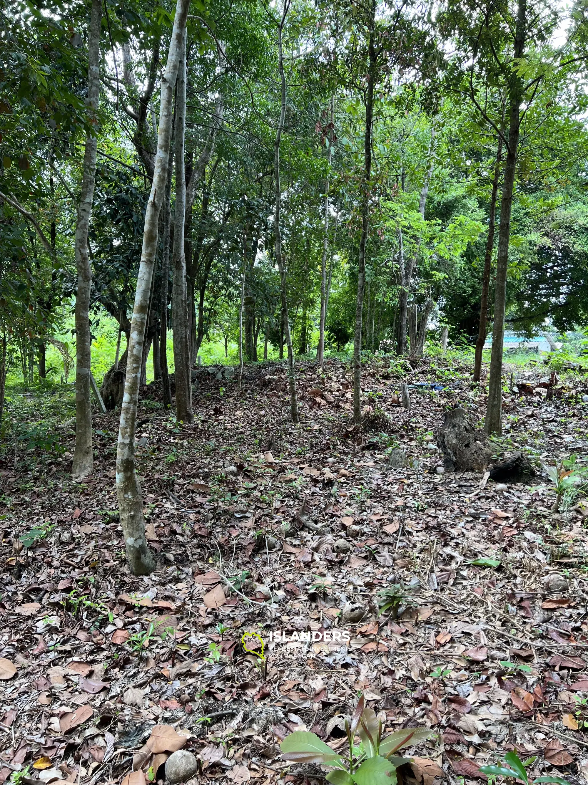 Terrain plat près de la rivière