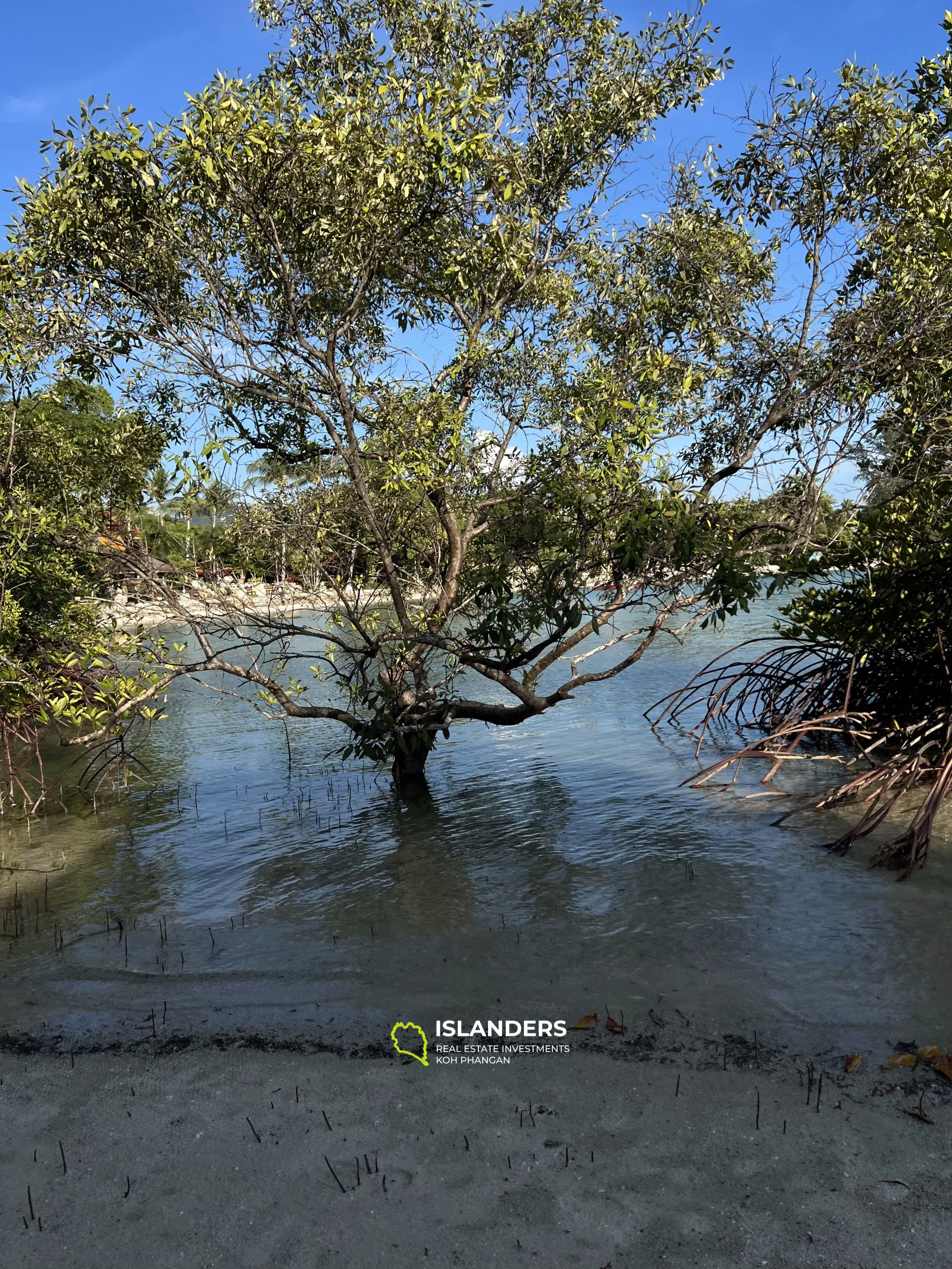 อสังหาริมทรัพย์ริมชายหาดสุดพิเศษใกล้ท้องศาลา