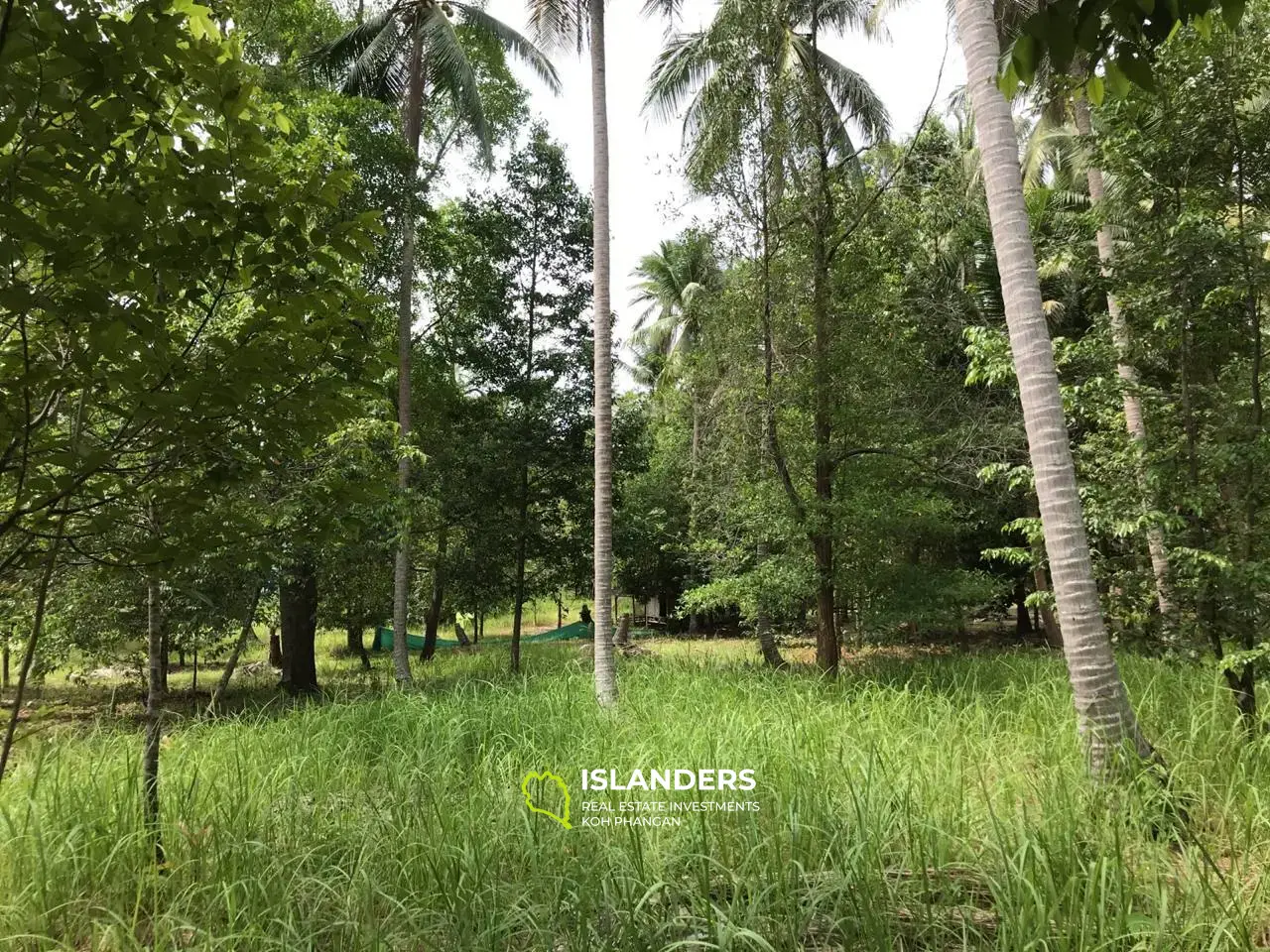 Beau terrain plat avec vue jungle. Région de Madua Wan.