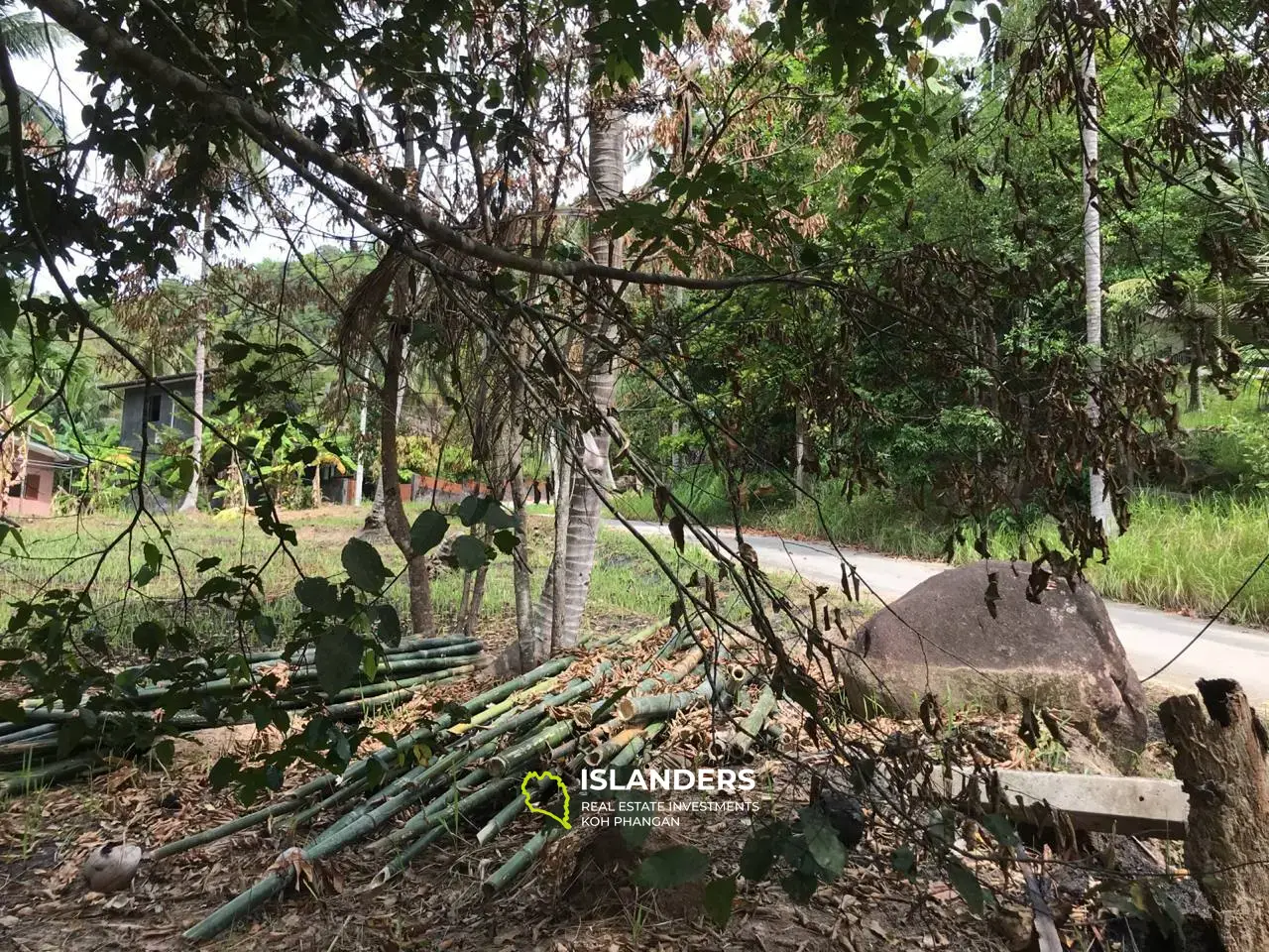 Beau terrain plat avec vue jungle. Région de Madua Wan.