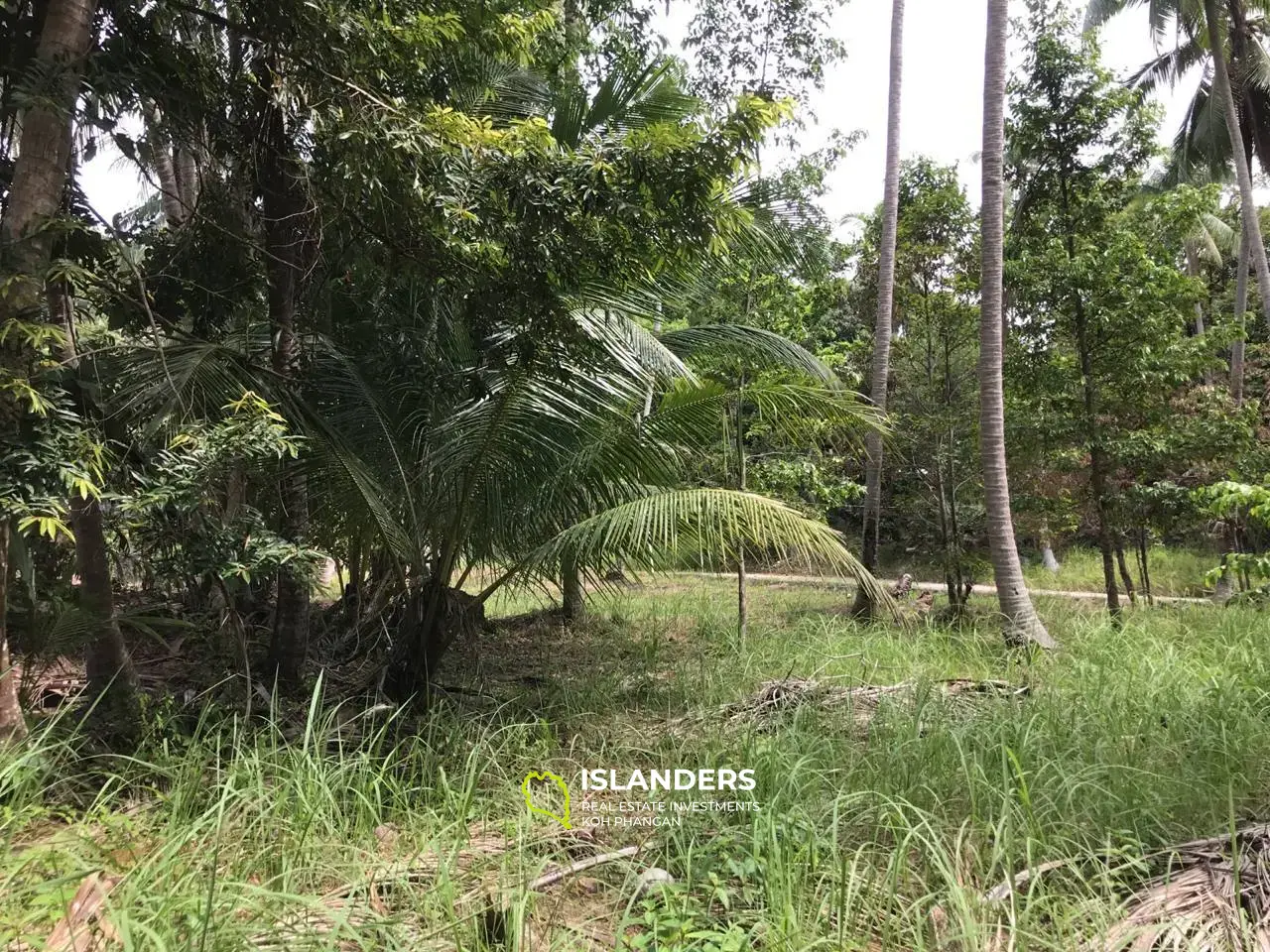 Beau terrain plat avec vue jungle. Région de Madua Wan.