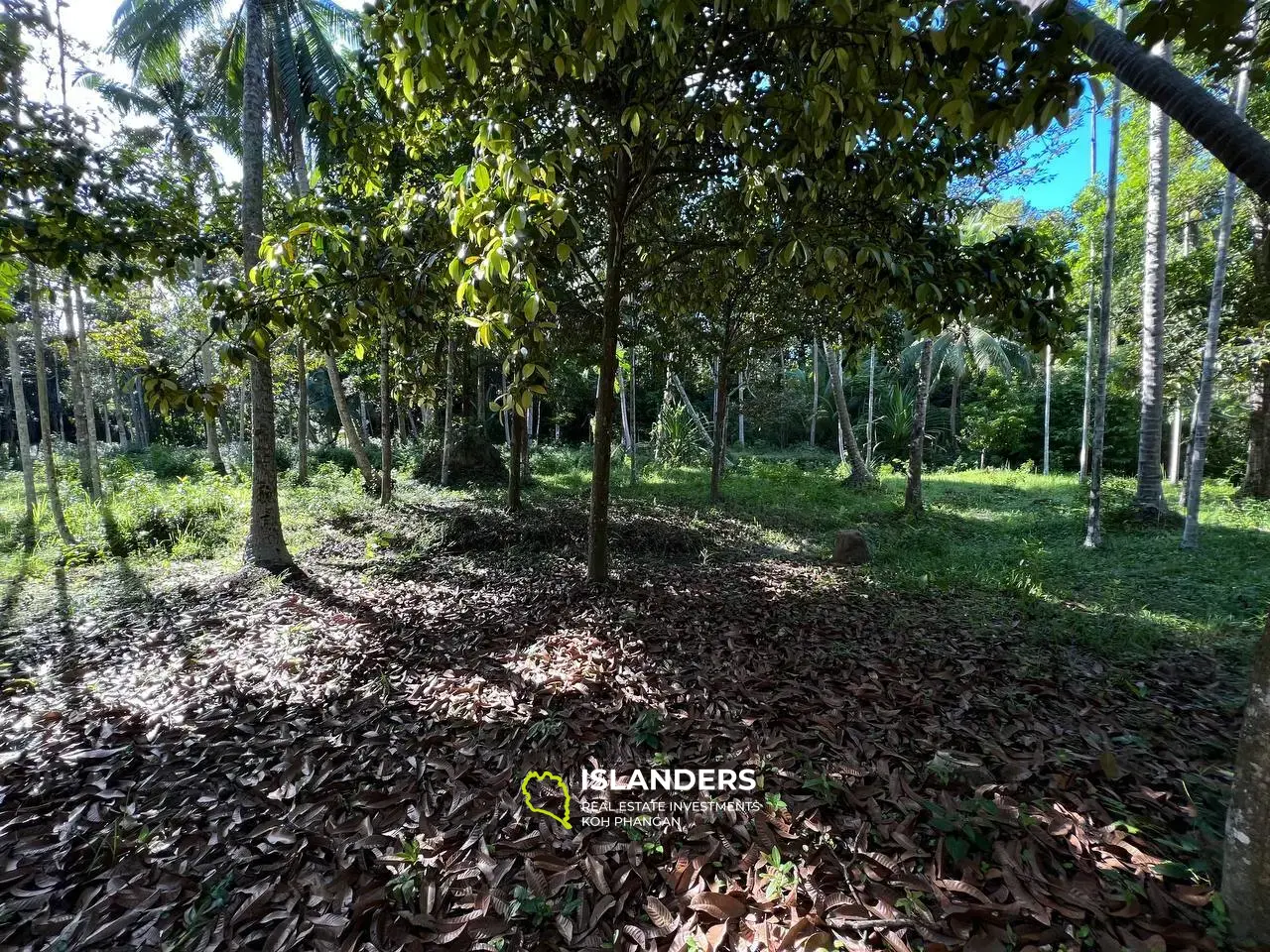 Terrain à Maduwan - Oasis de tranquillité et de beauté