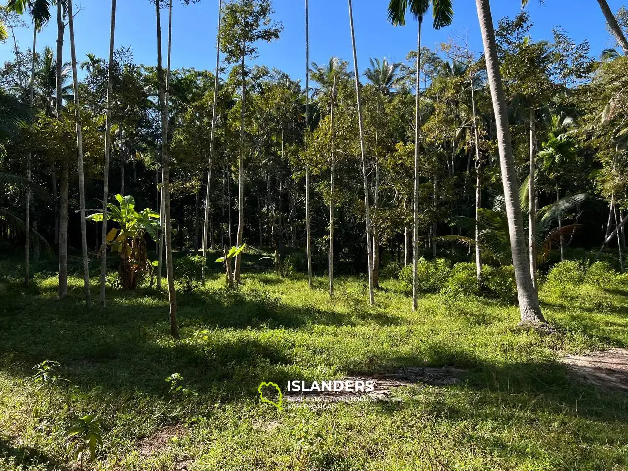 Terrain à Maduwan - Oasis de tranquillité et de beauté