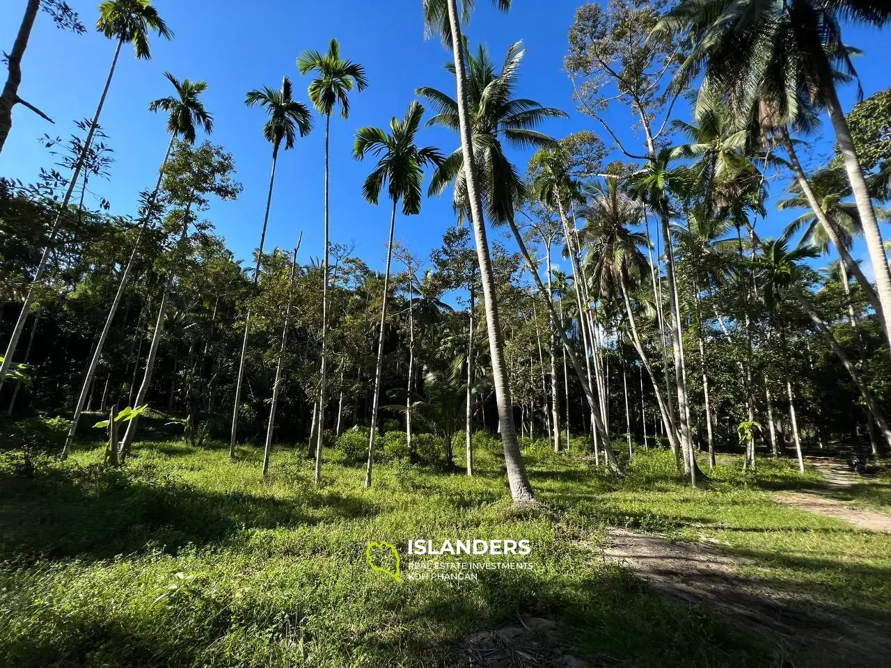 Land in Maduwan – Oase der Ruhe und Schönheit