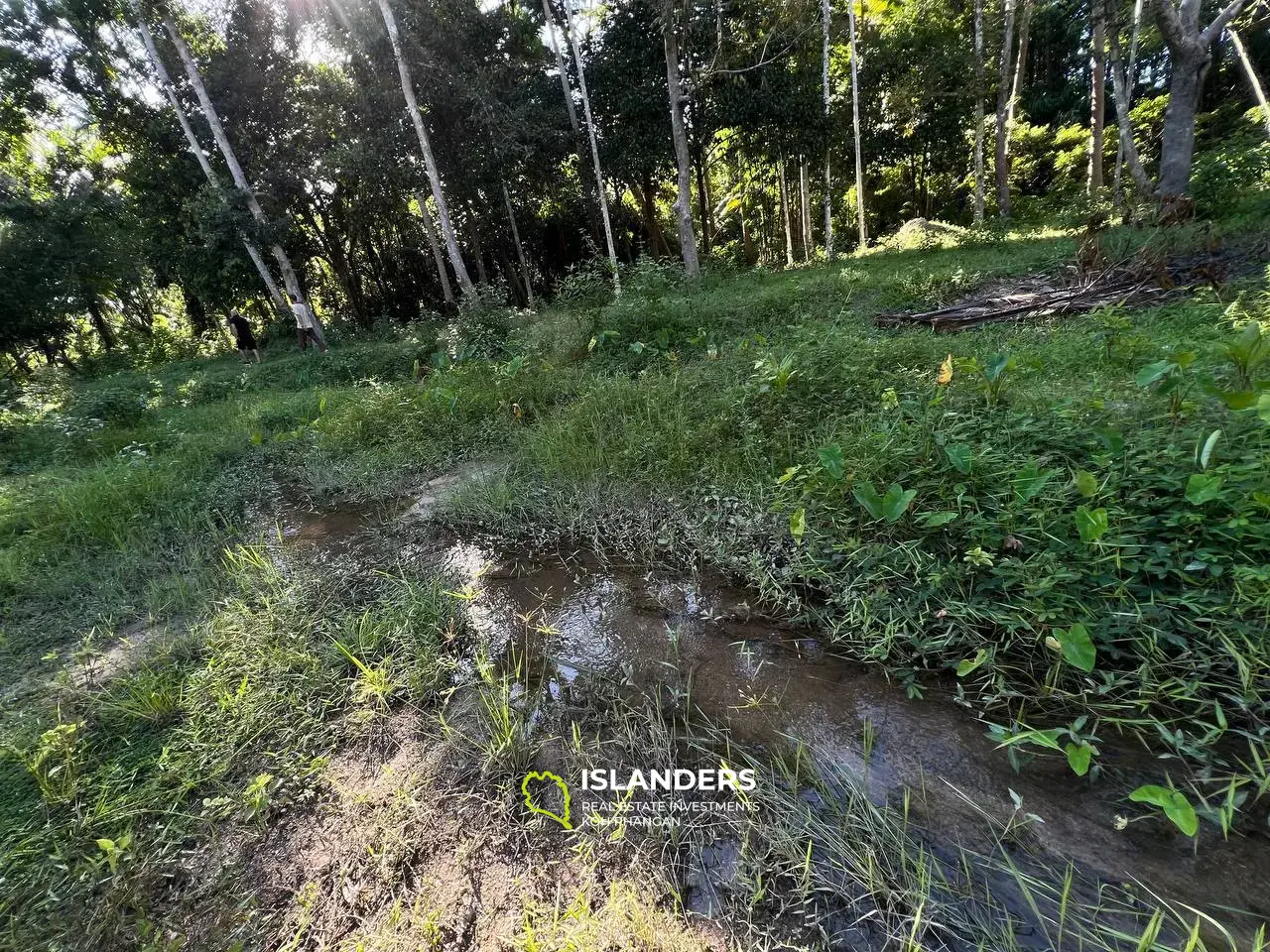 Terrain à Maduwan - Oasis de tranquillité et de beauté