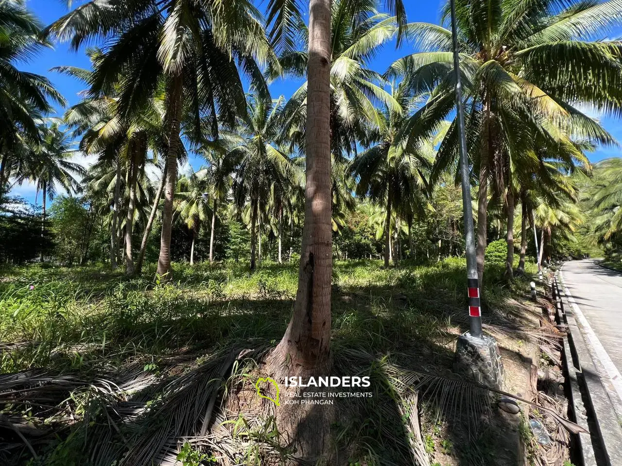 Grundstück in der Nähe der wunderschönen Palm Alley