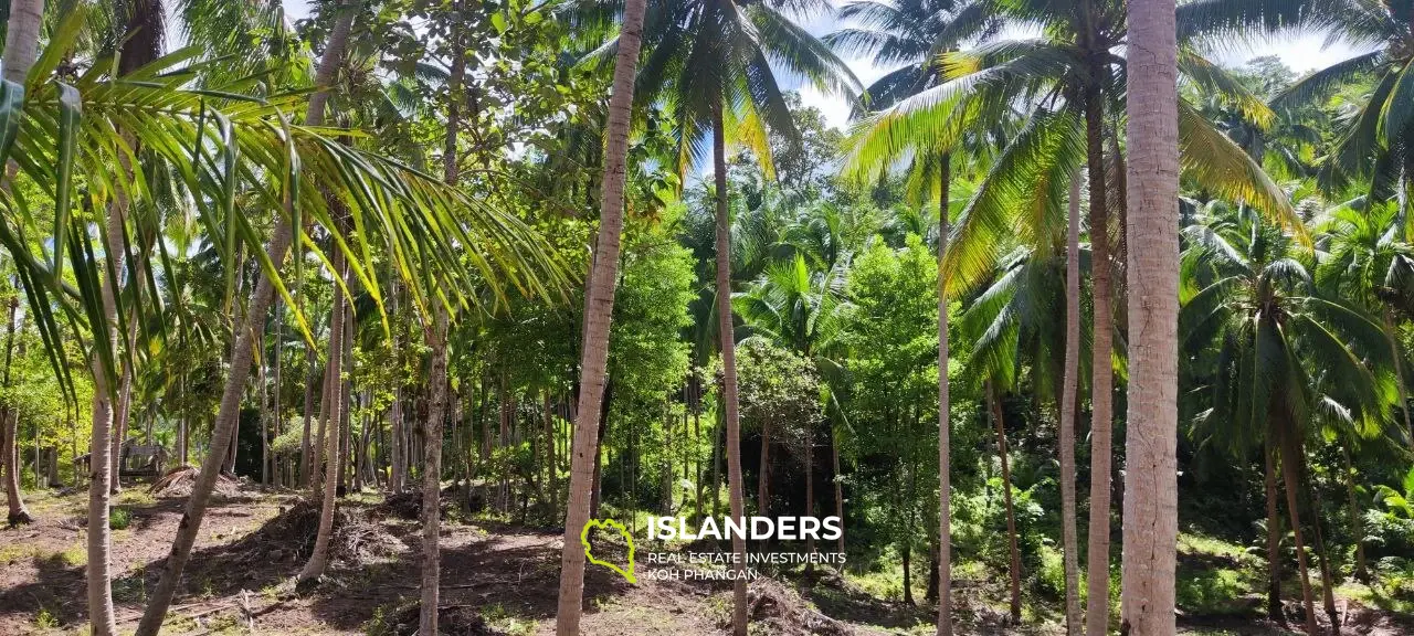 Flat land alongside the Middle Road