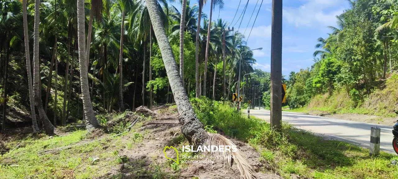 Flat land alongside the Middle Road