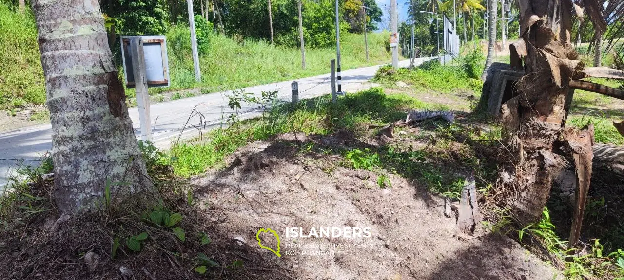 Terrain plat en bordure de Middle Road