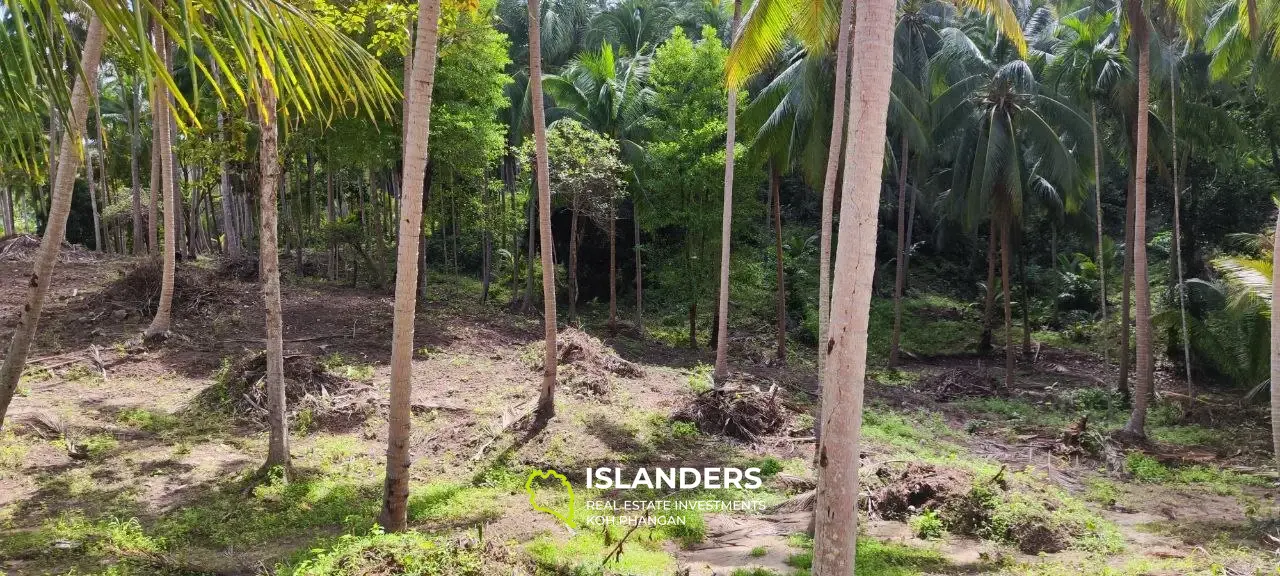 Flat land alongside the Middle Road