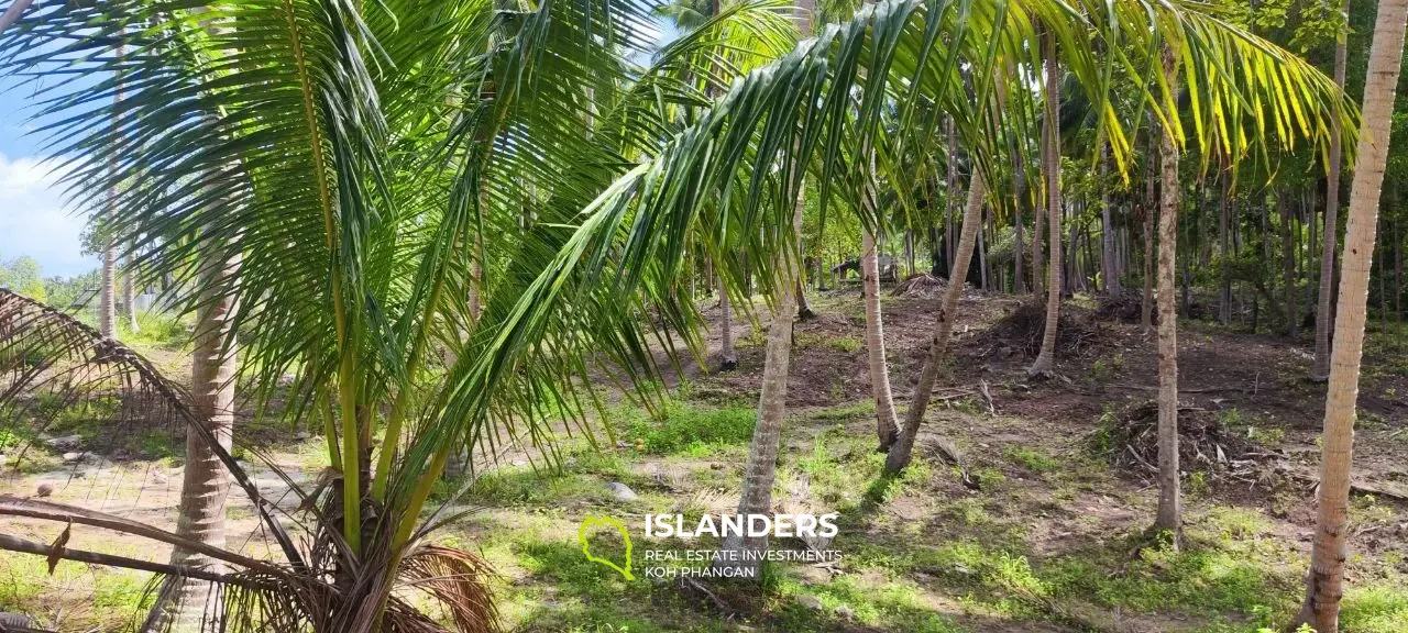 Terrain plat en bordure de Middle Road